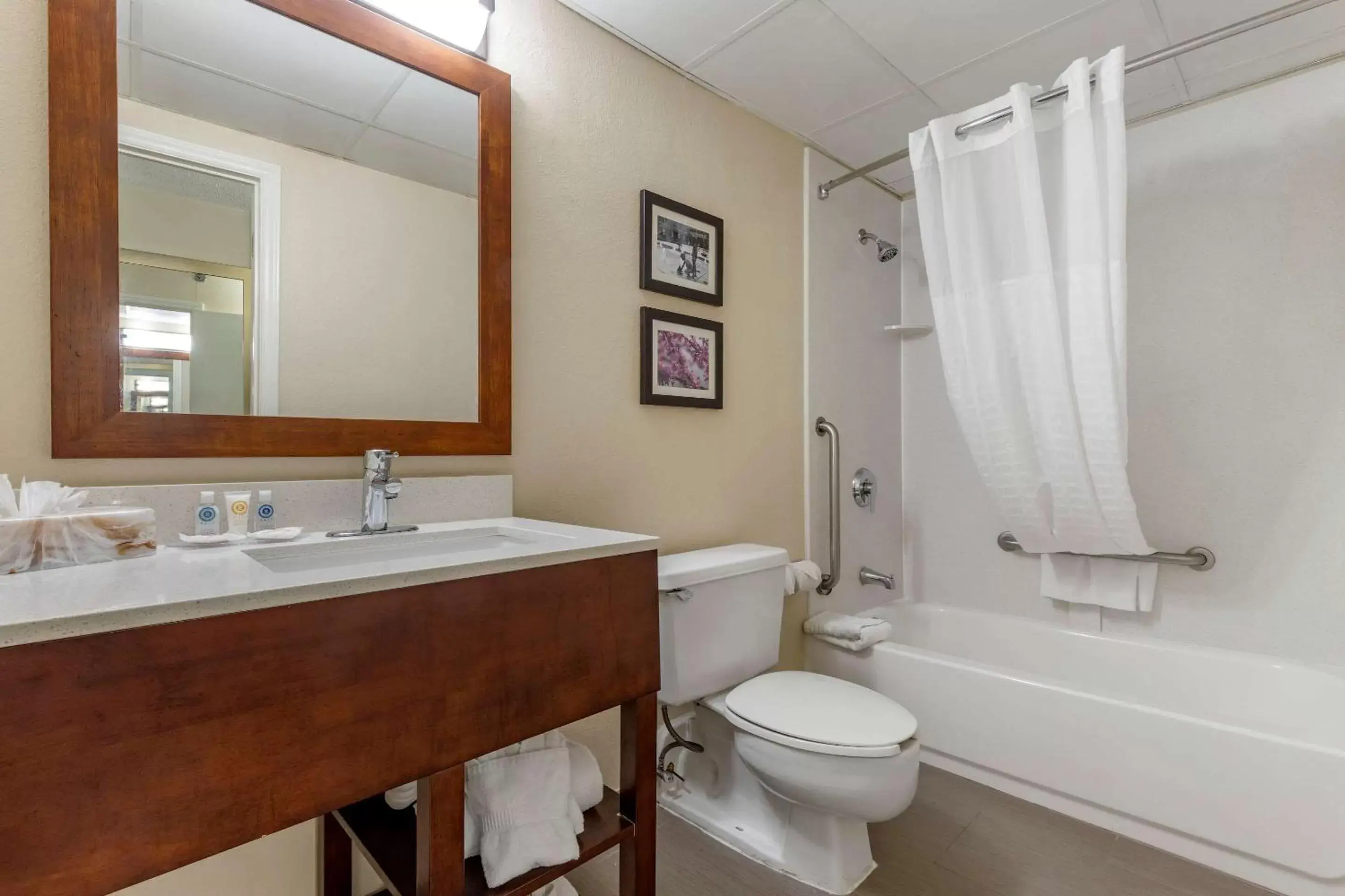 Bedroom, Bathroom in Comfort Inn Charlotte Airport Uptown