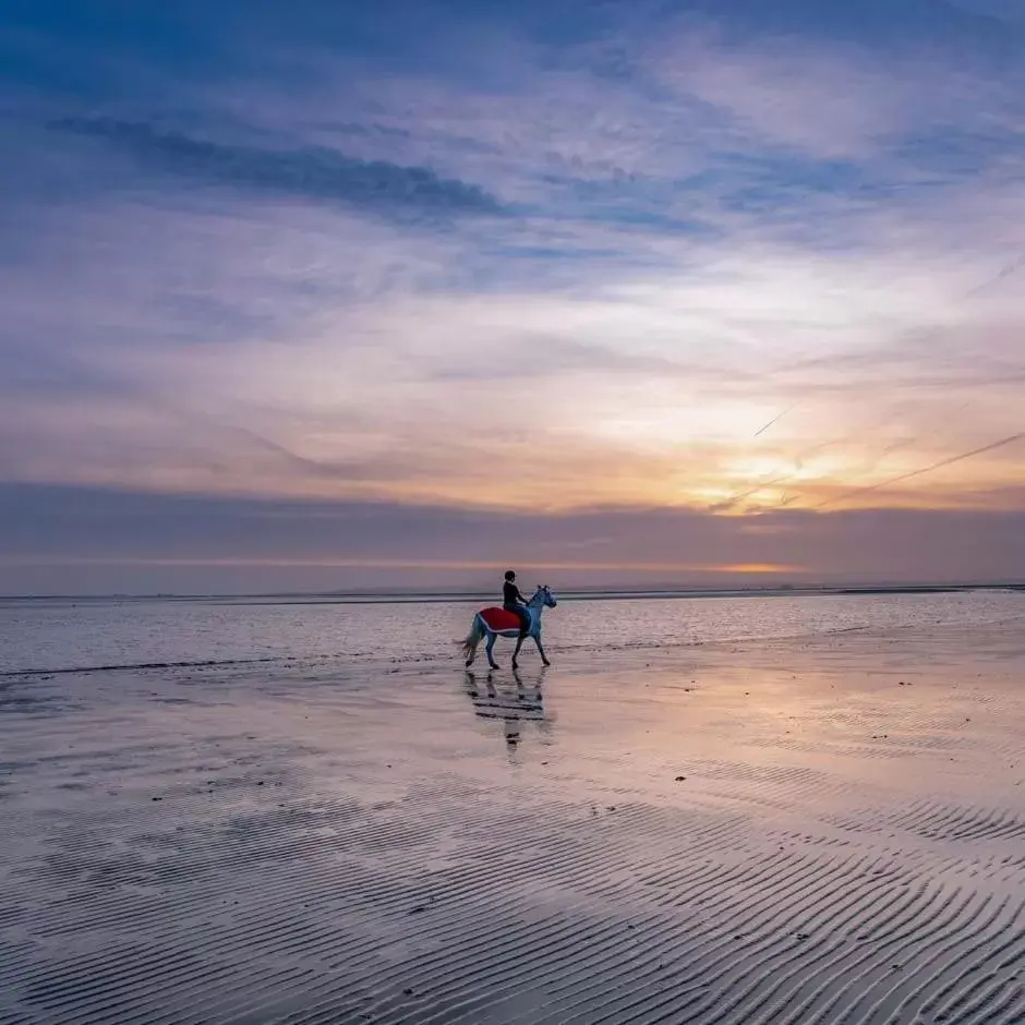 Beach in Langstone Quays Resort