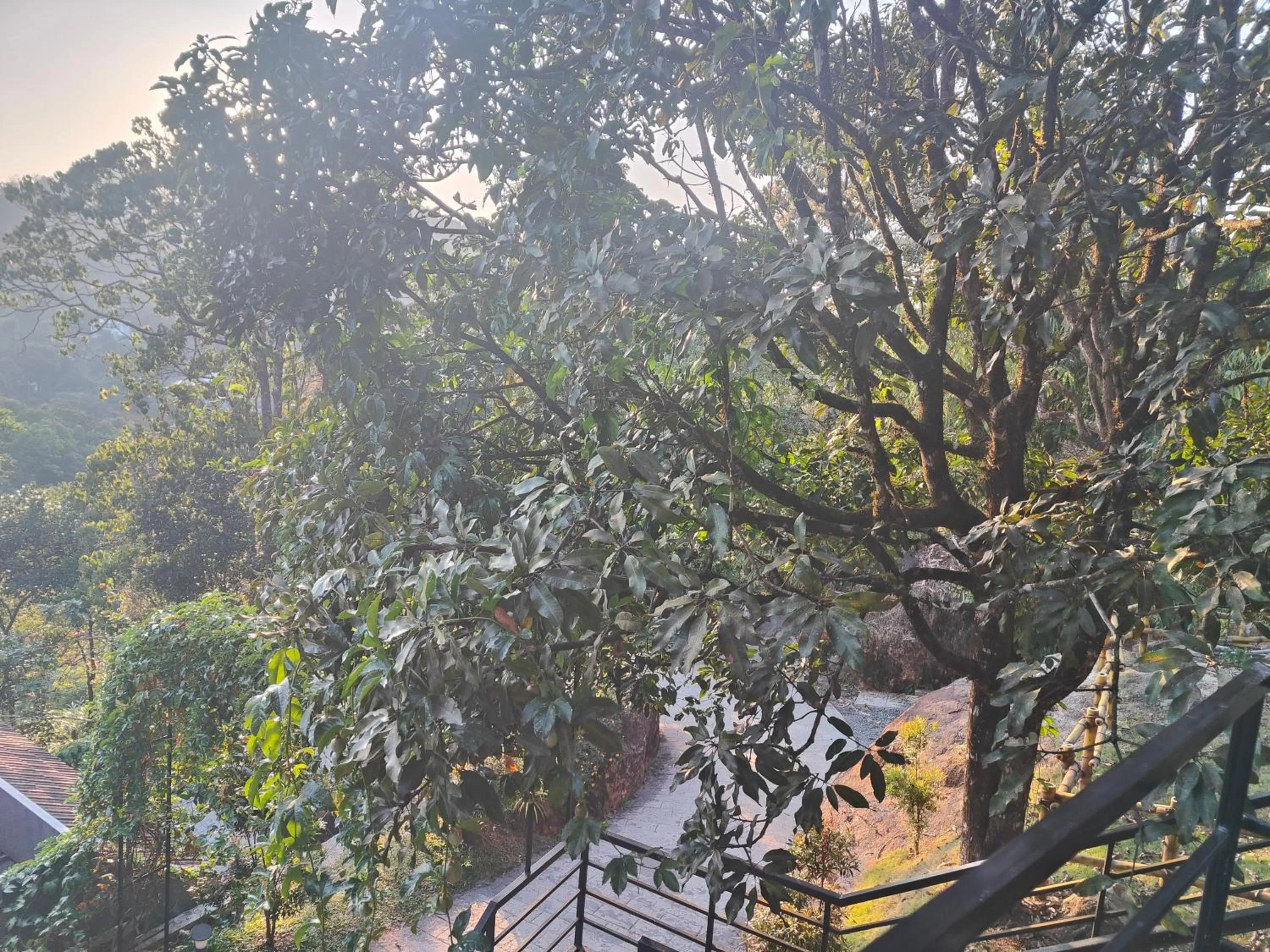 Natural landscape in The Wild Trails Clarks Exotica , Munnar