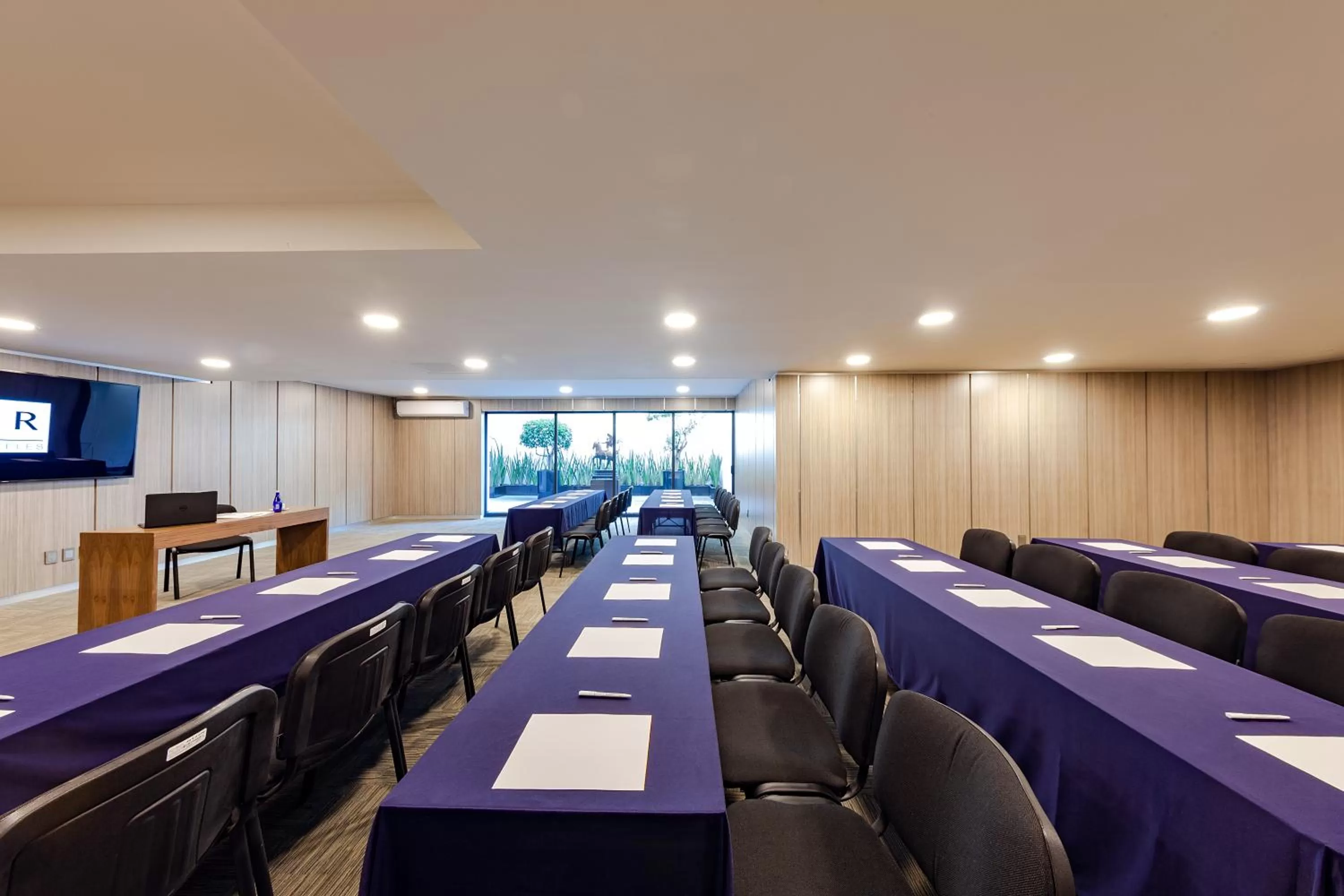 Business facilities in Suites Del Ángel