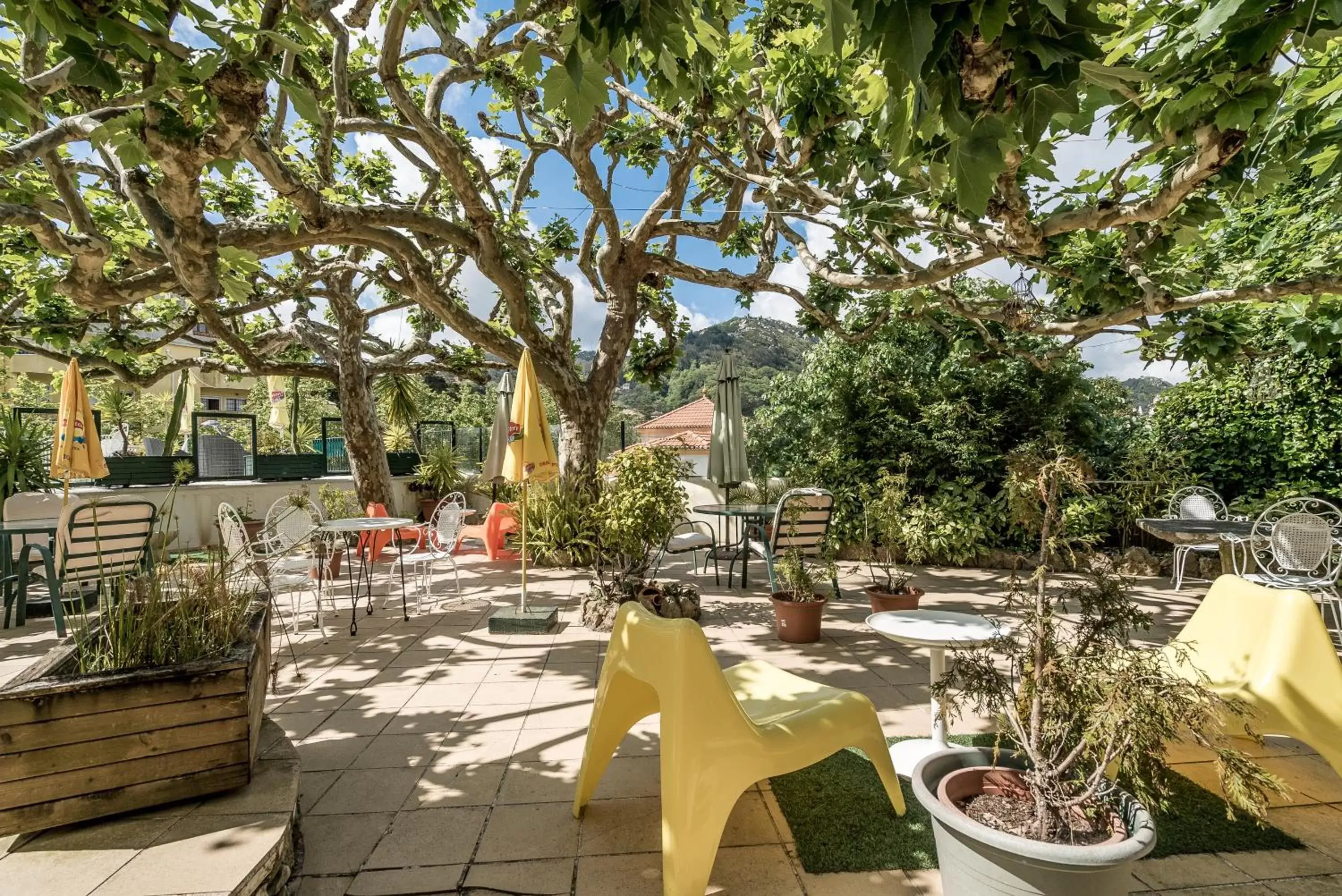 Garden in Hotel Nova Sintra