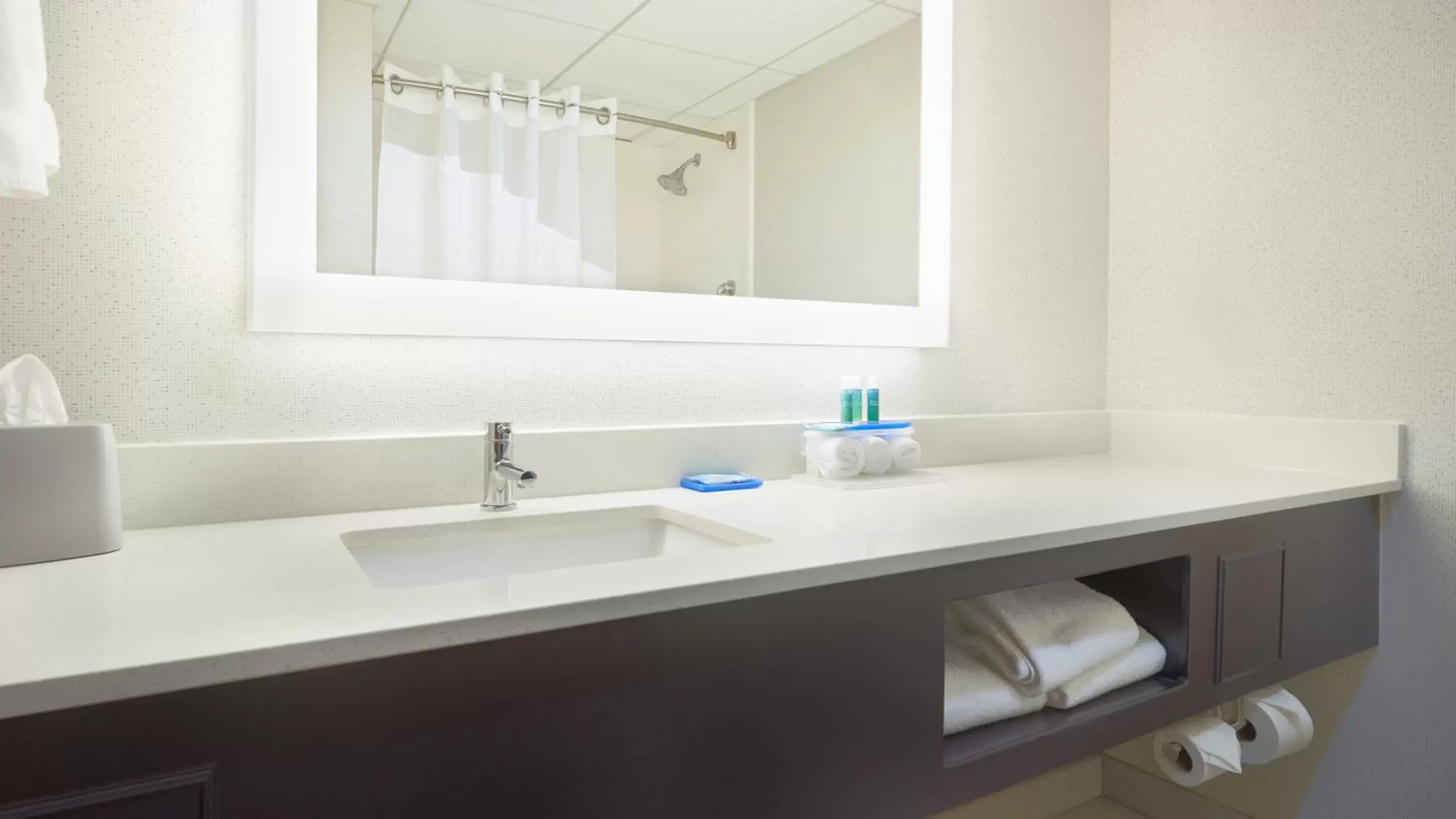 Bathroom in Holiday Inn Express & Suites Asheville SW - Outlet Ctr Area, an IHG Hotel