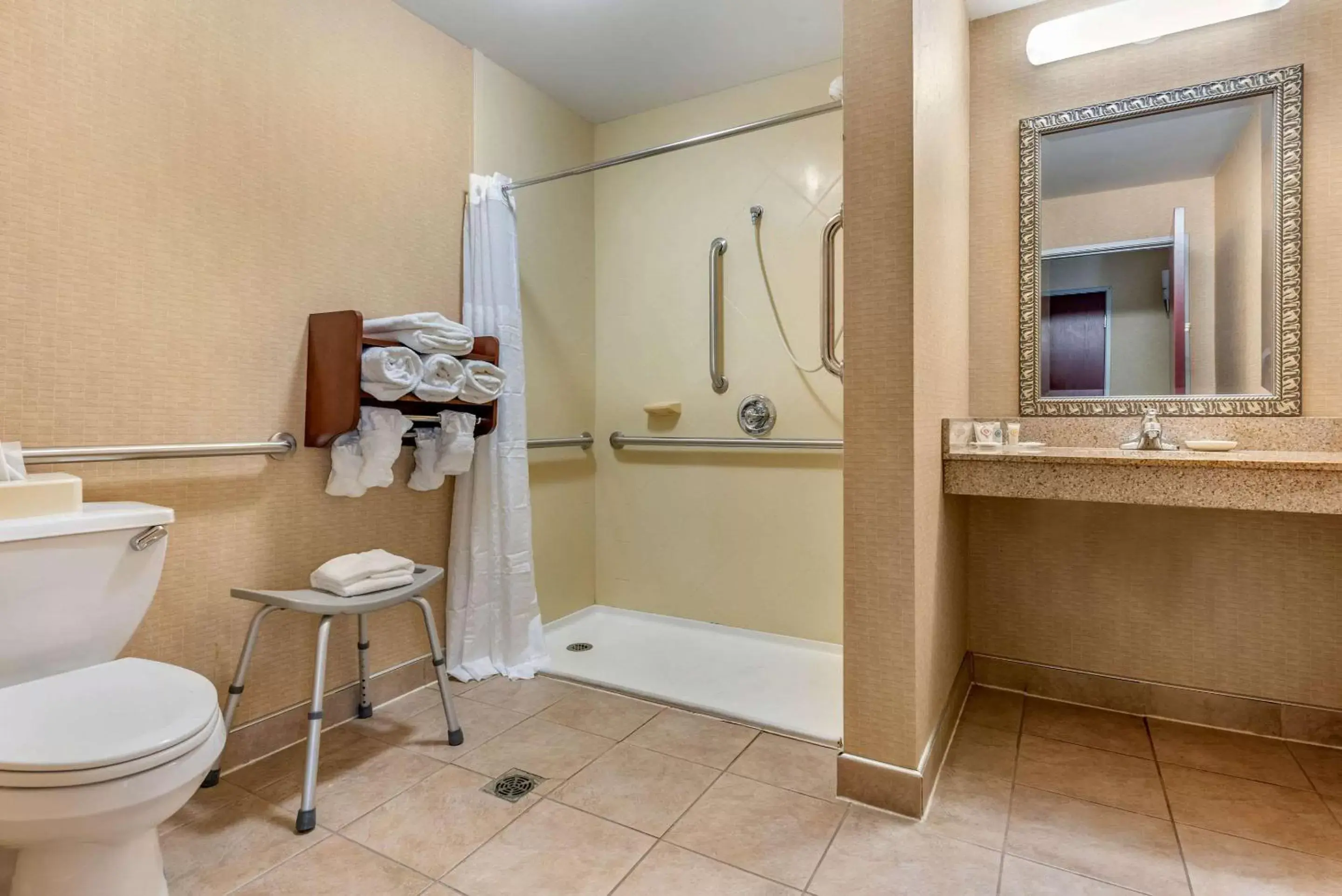 Photo of the whole room, Bathroom in Comfort Suites South Elkhart