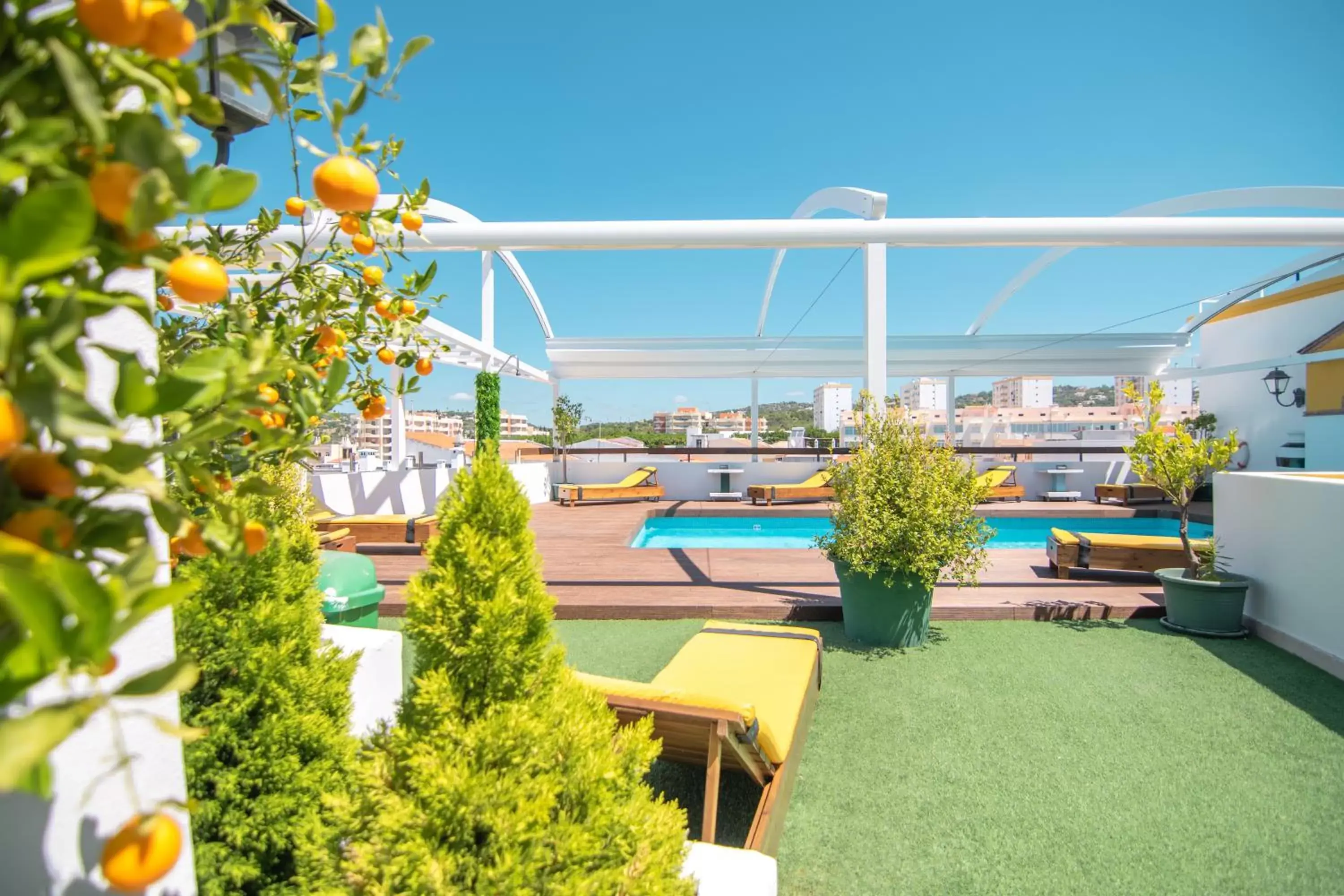 Garden, Swimming Pool in Loule Jardim Hotel