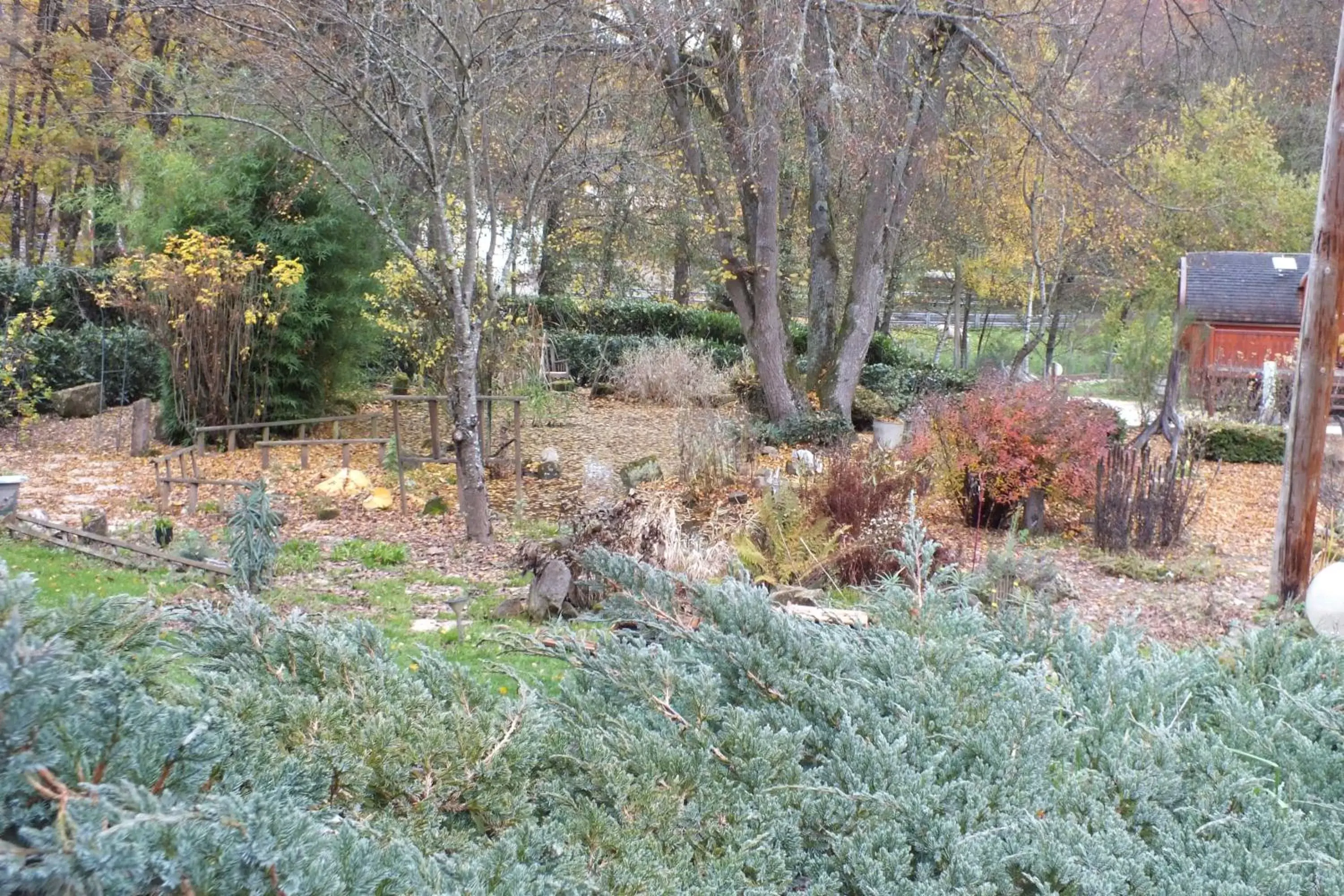 Garden in Chambres d'hôtes La Charmante