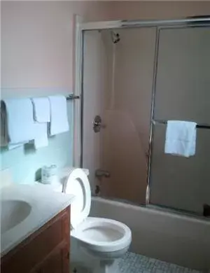 Bathroom in Shamrock Motel Hot Springs