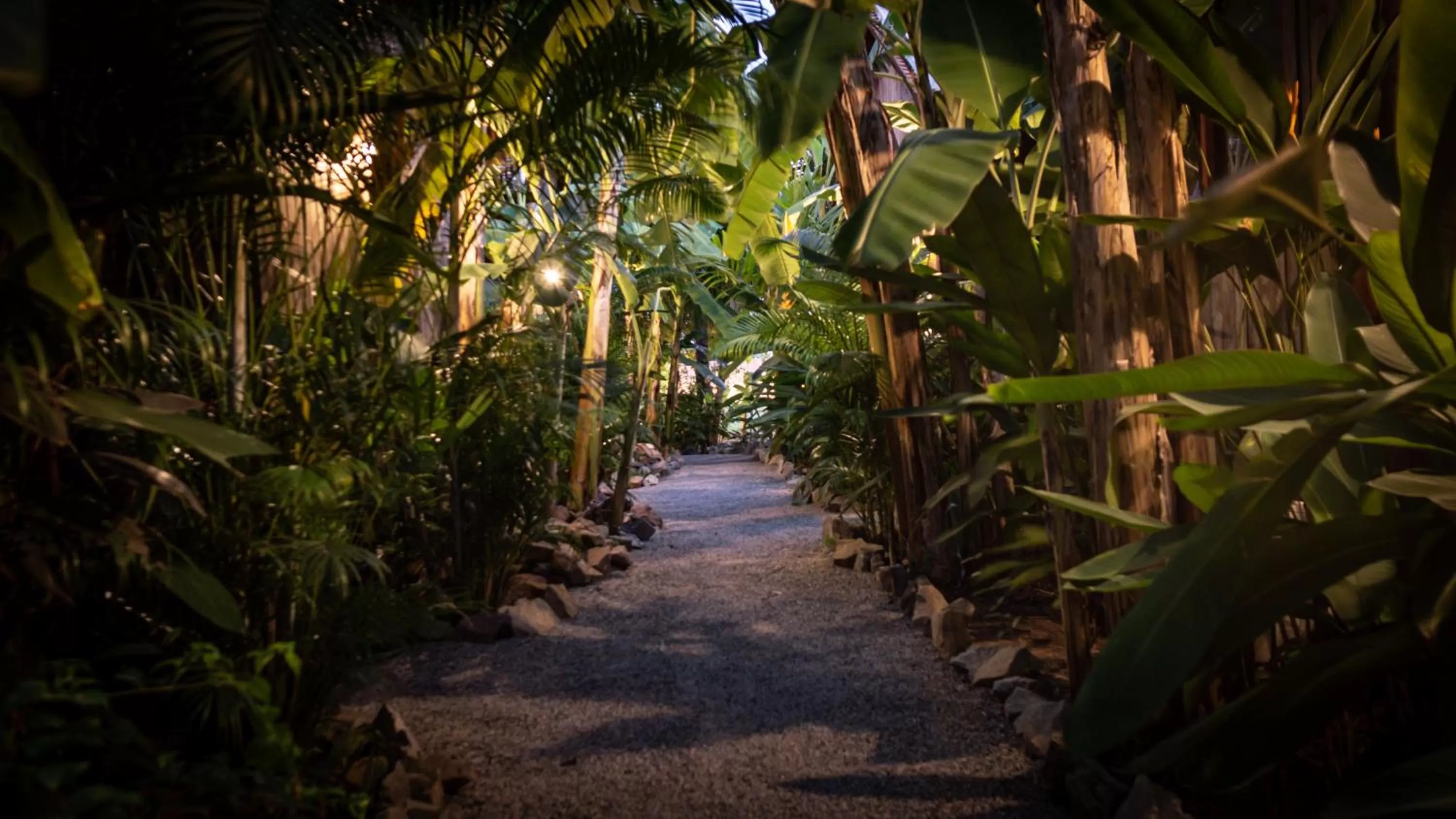 Garden in Authentic Khmer Village Resort
