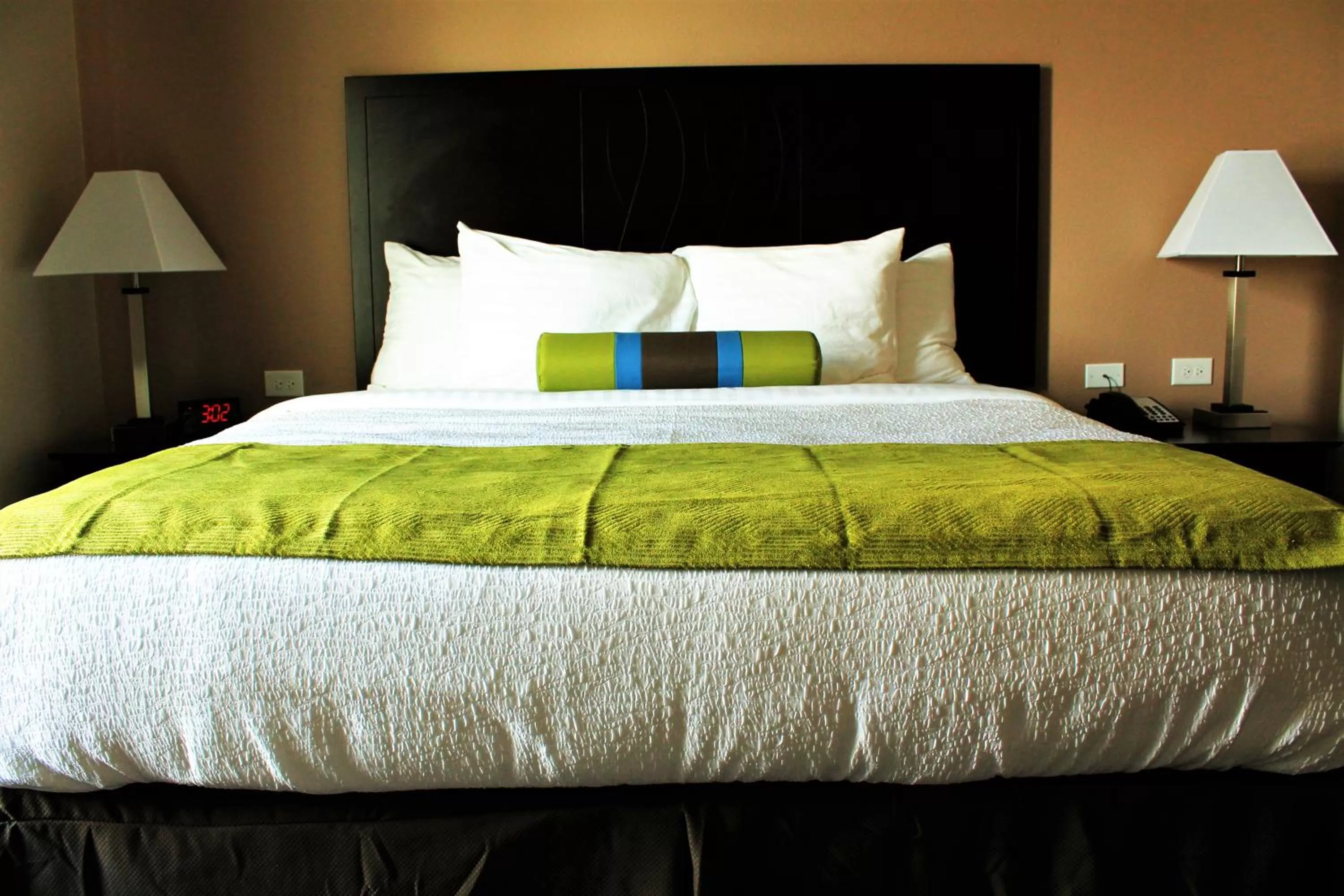 King Suite with Kitchenette - Disability Access in Best Western Plus Denver City Hotel & Suites