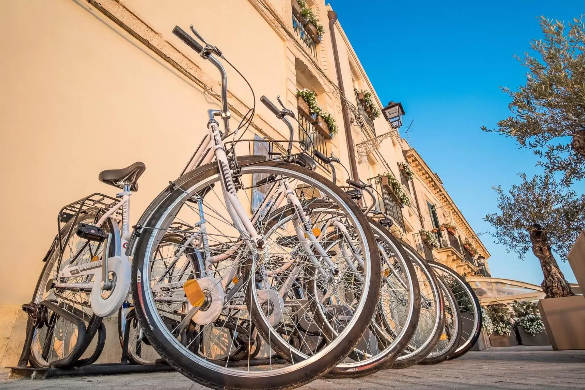 Cycling, Other Activities in Palazzo Alfeo Aparthotel