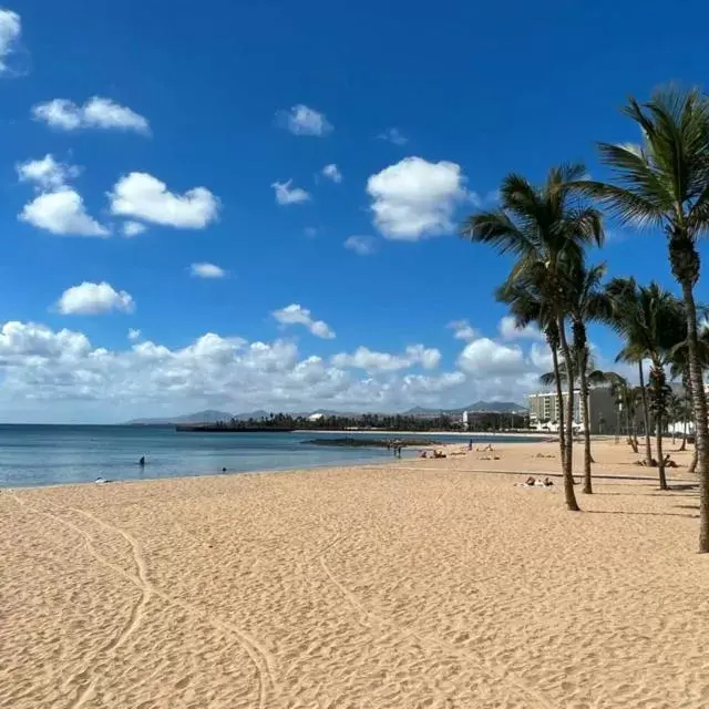 Beach in Hotel Diamar