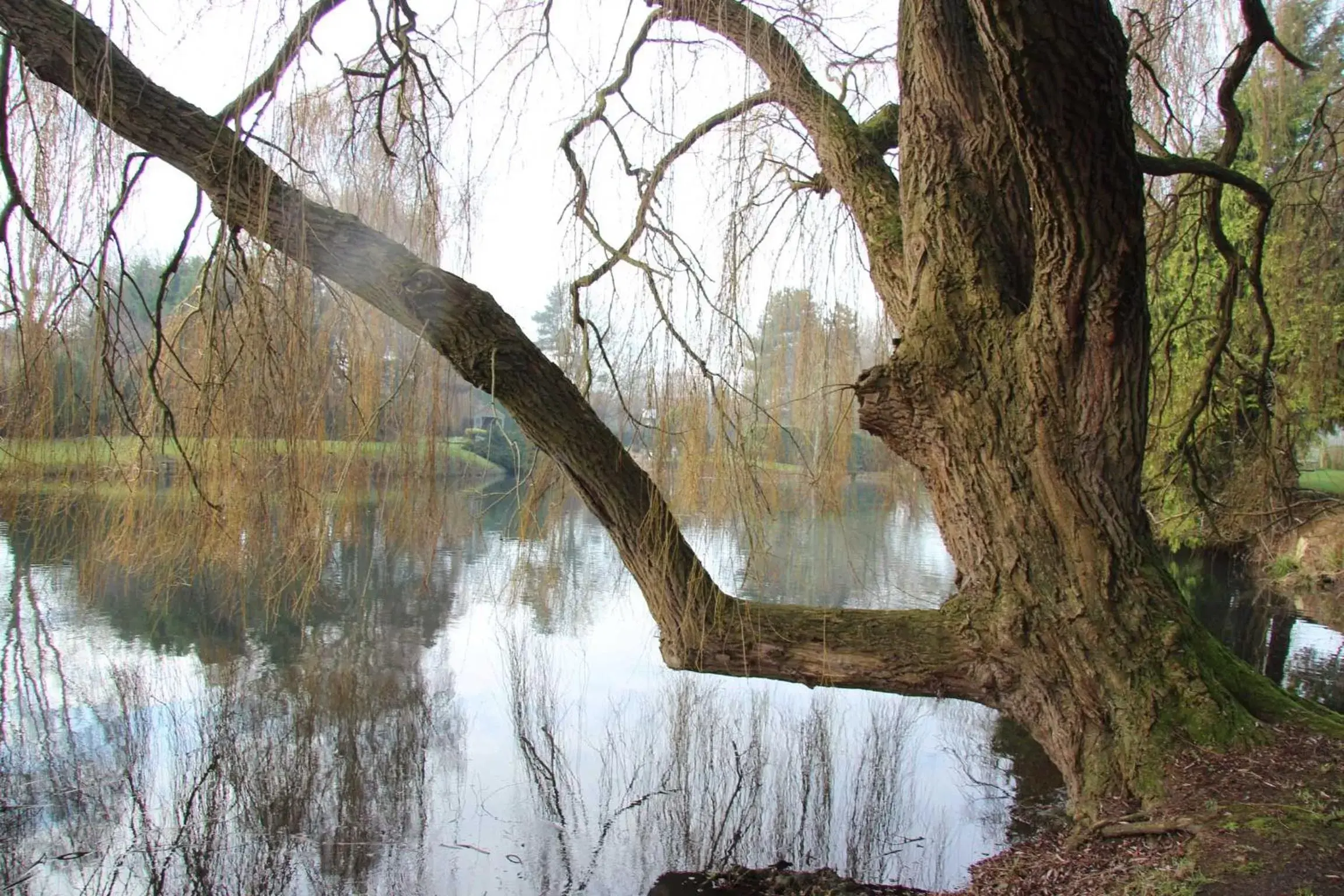 Natural Landscape in Monkspool B&B