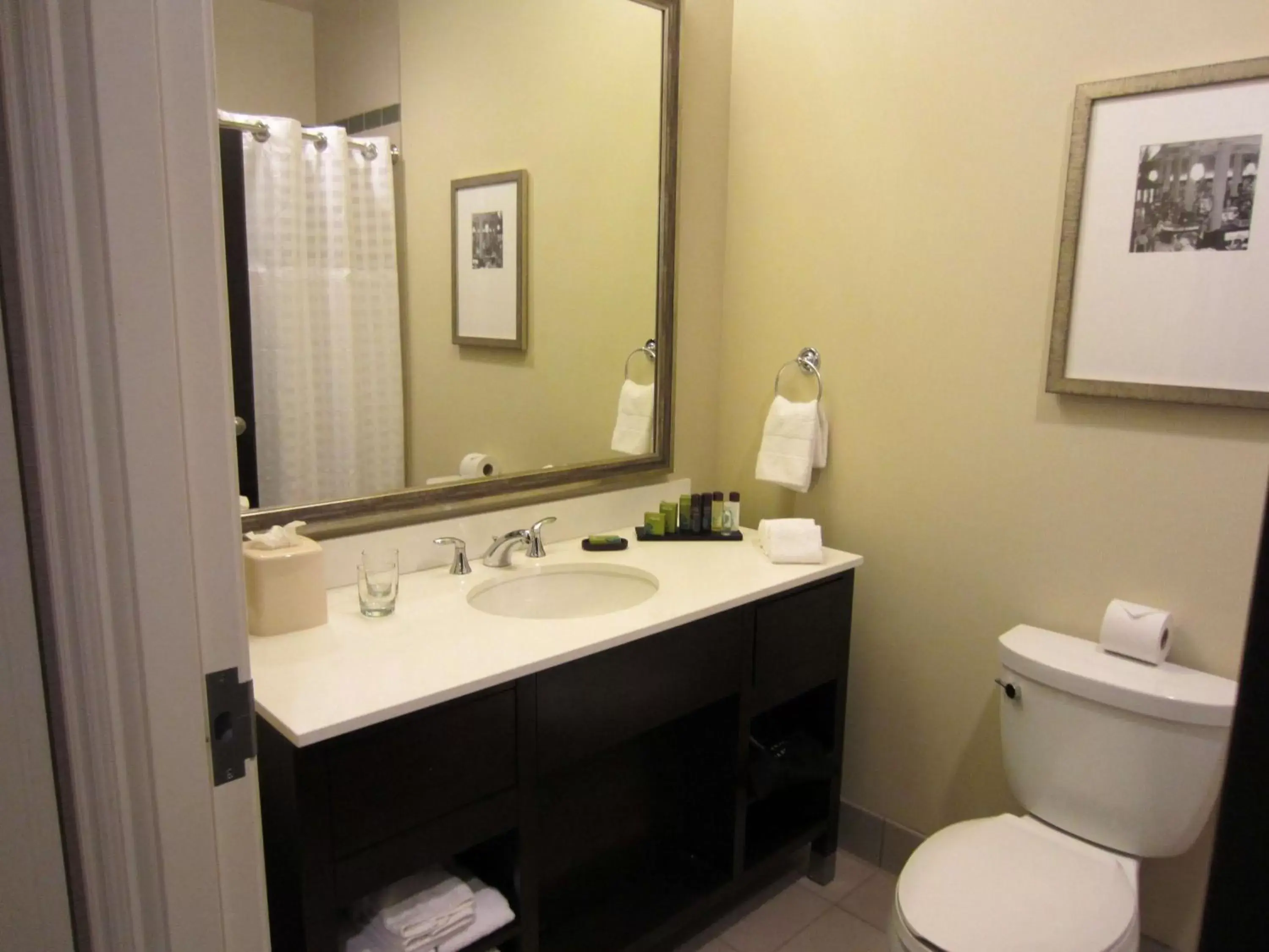 Shower, Bathroom in Embassy Suites Saint Louis - Downtown