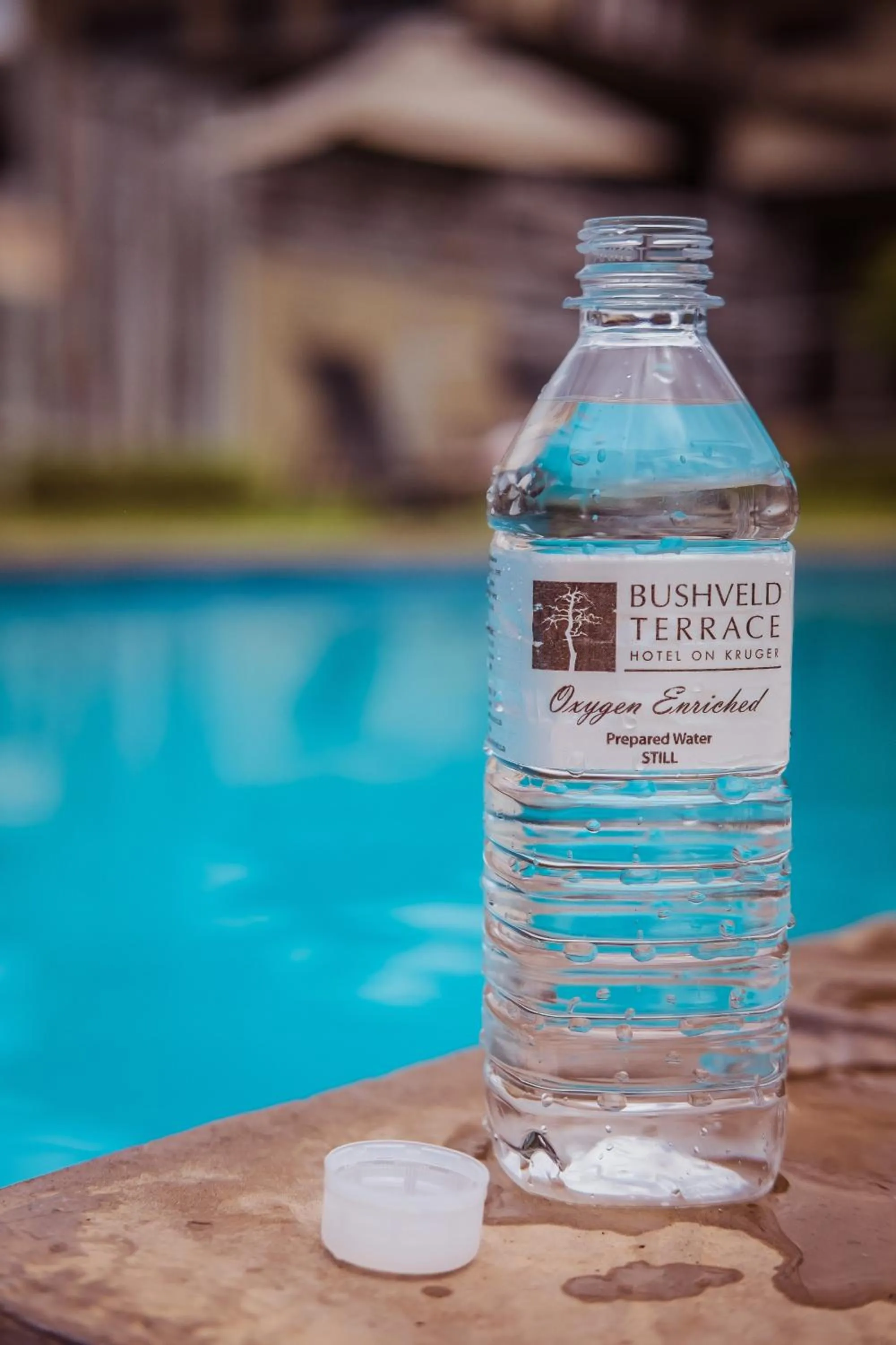 Pool view in Bushveld Terrace Safari Hotel, Lodge & Spa