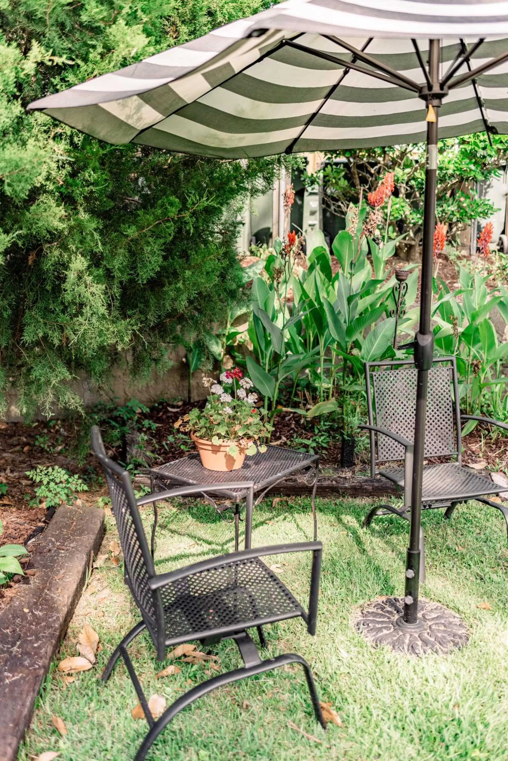 Property building, Garden in Meadows Inn