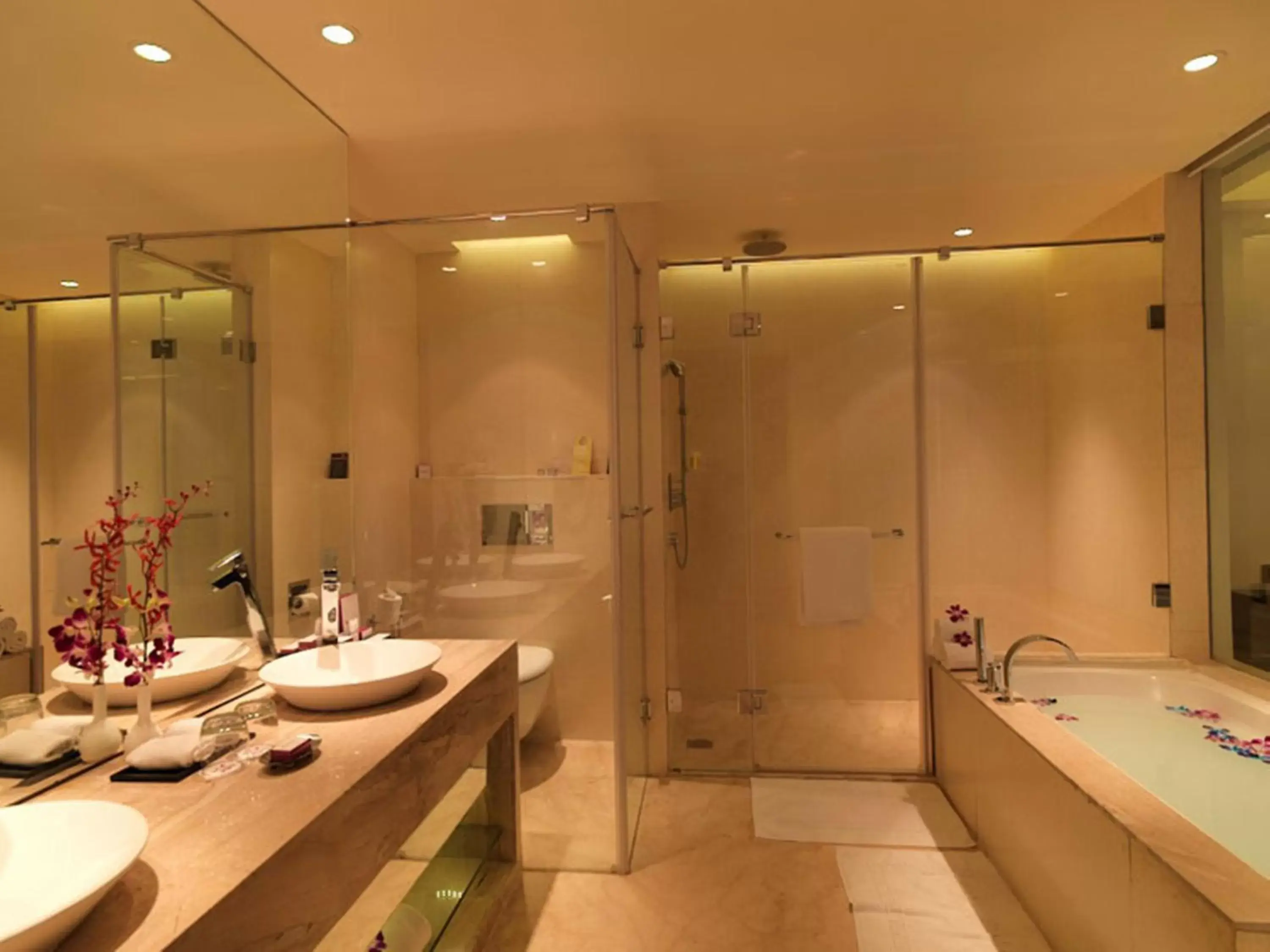 Shower, Bathroom in Hotel Royal Orchid Jaipur, 3 Kms to Airport