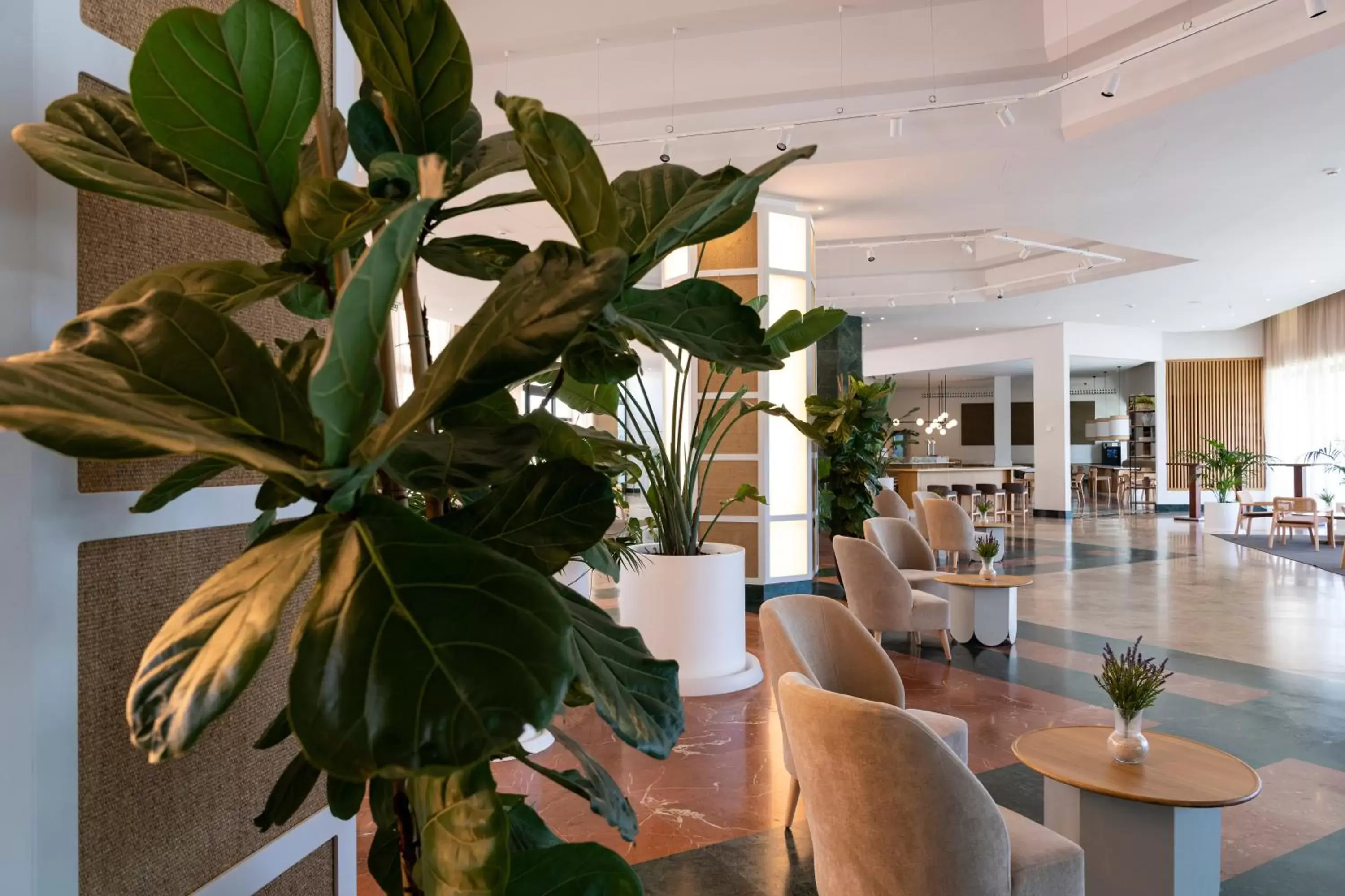 Seating area in Hotel Antequera Hills