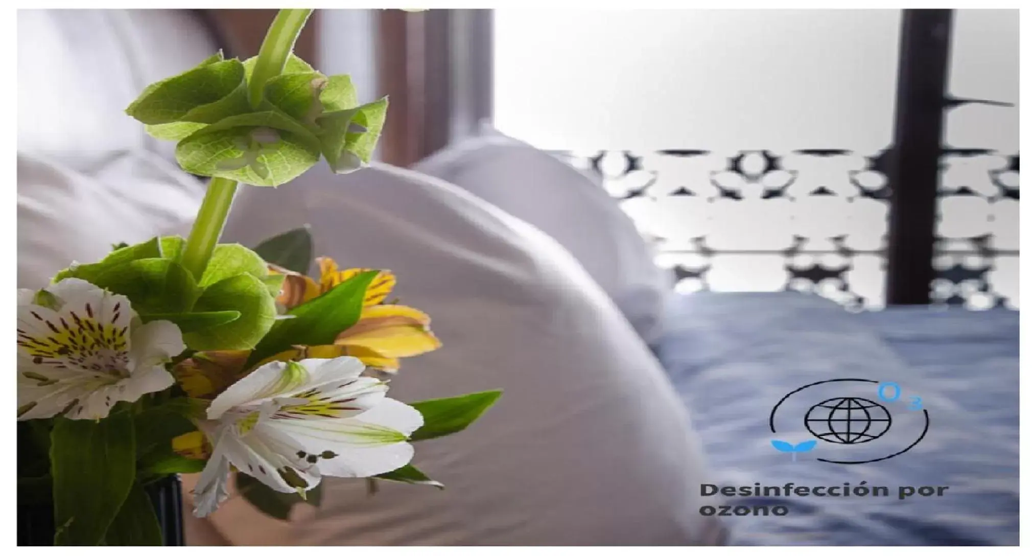 Bed in Casa Aspeytia Hotel Boutique Bed in Casa Aspeytia Hotel Boutique