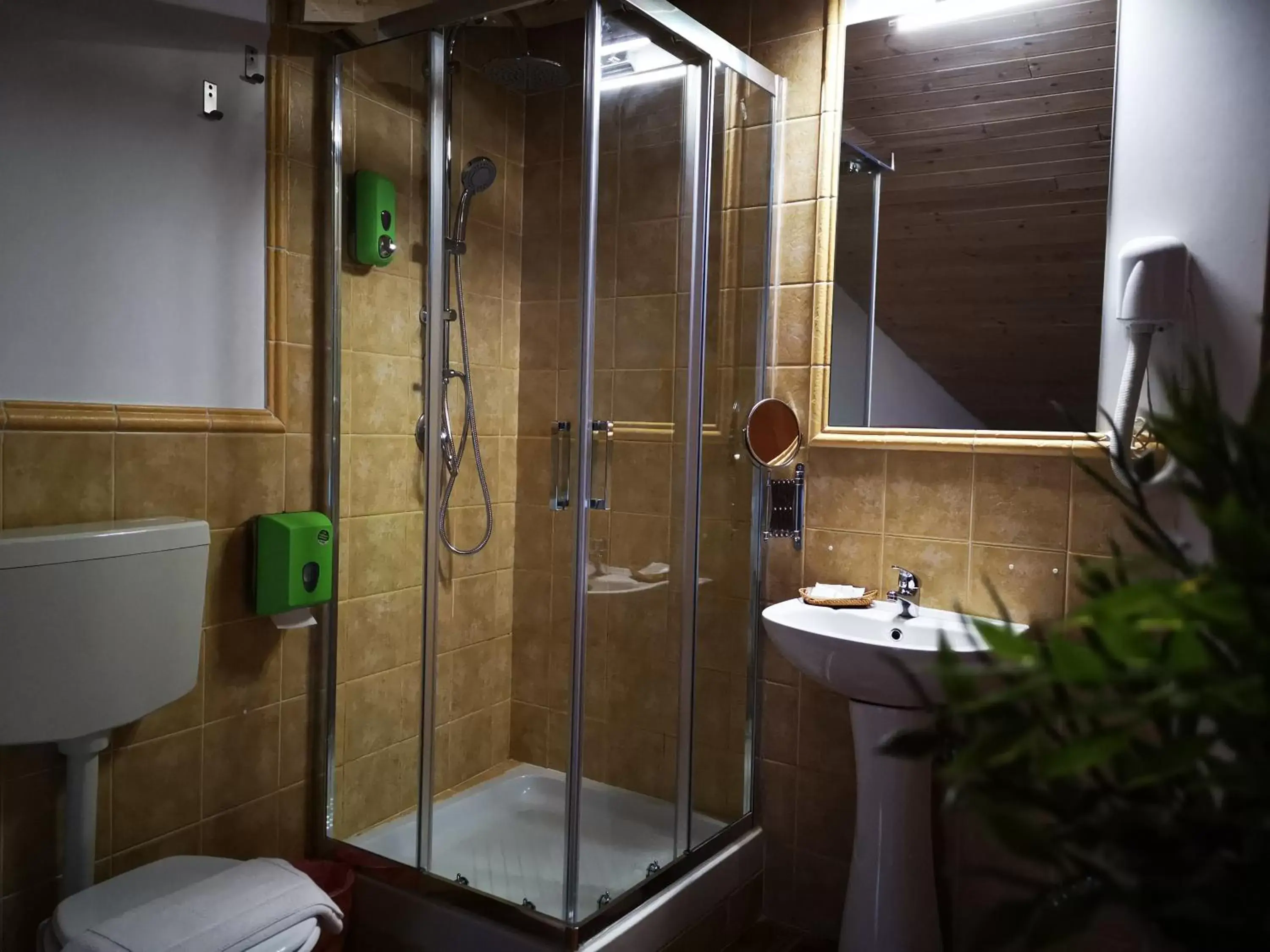Shower, Bathroom in Proserpina