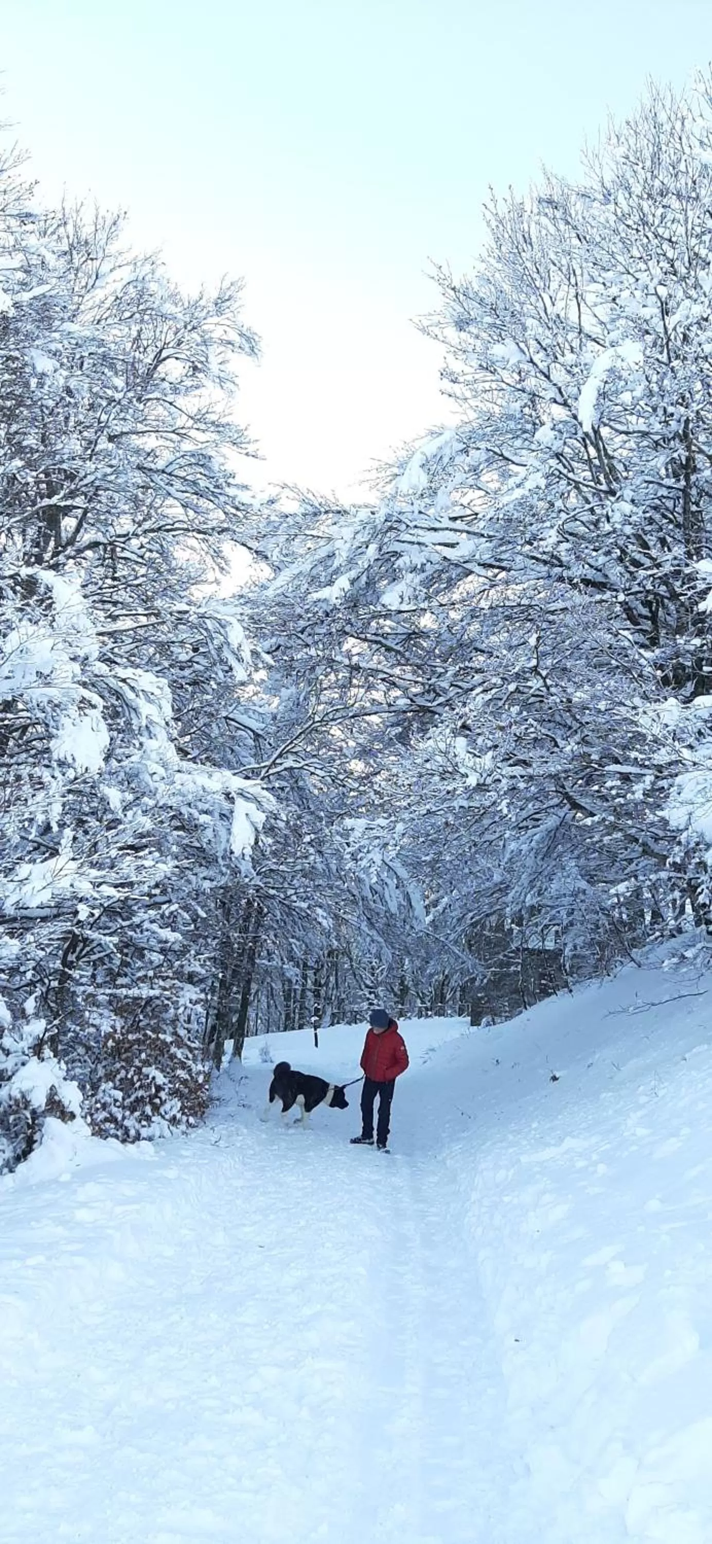 Winter in B&B degli Allori