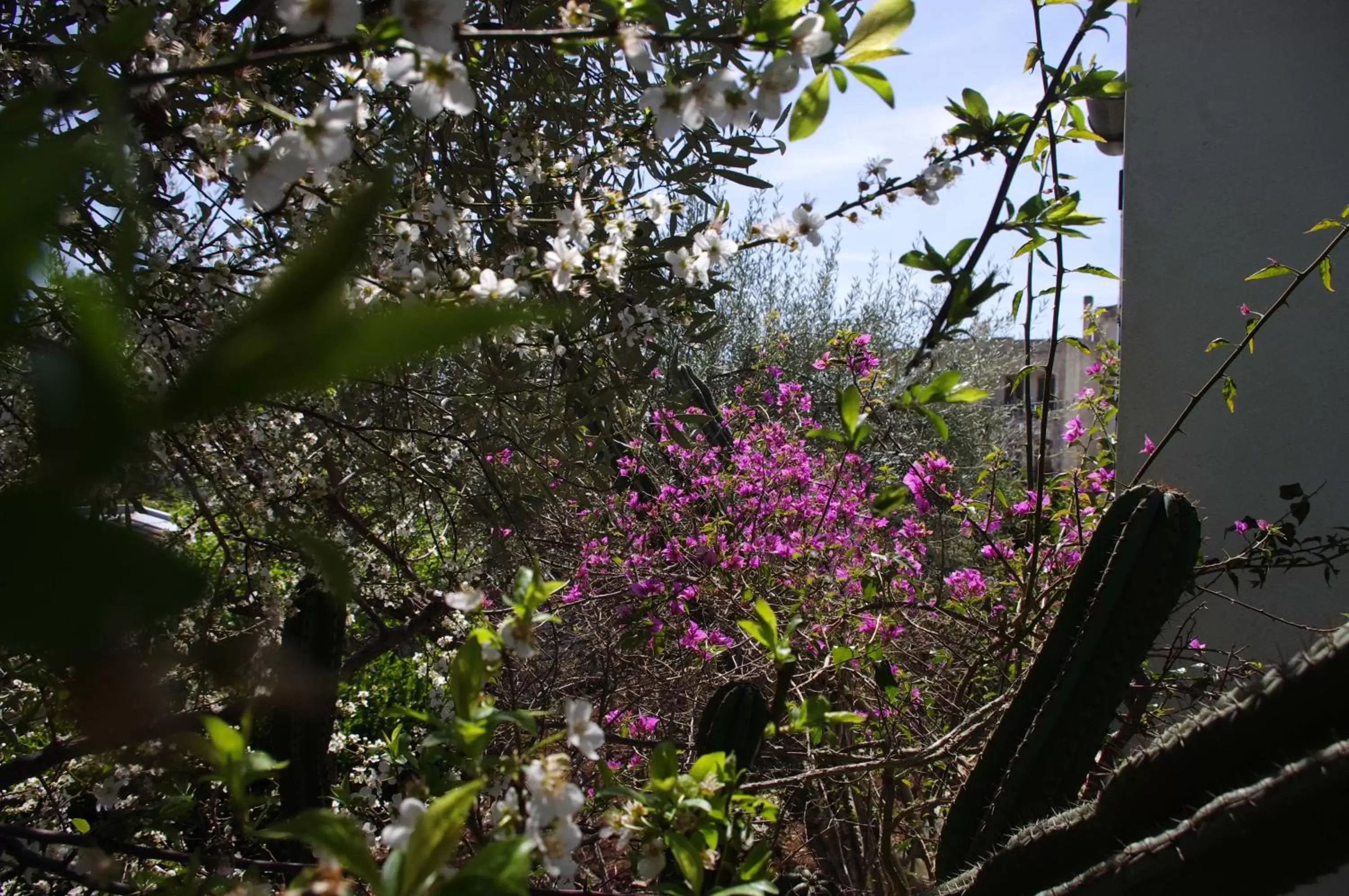 Garden in La Piccola Locanda