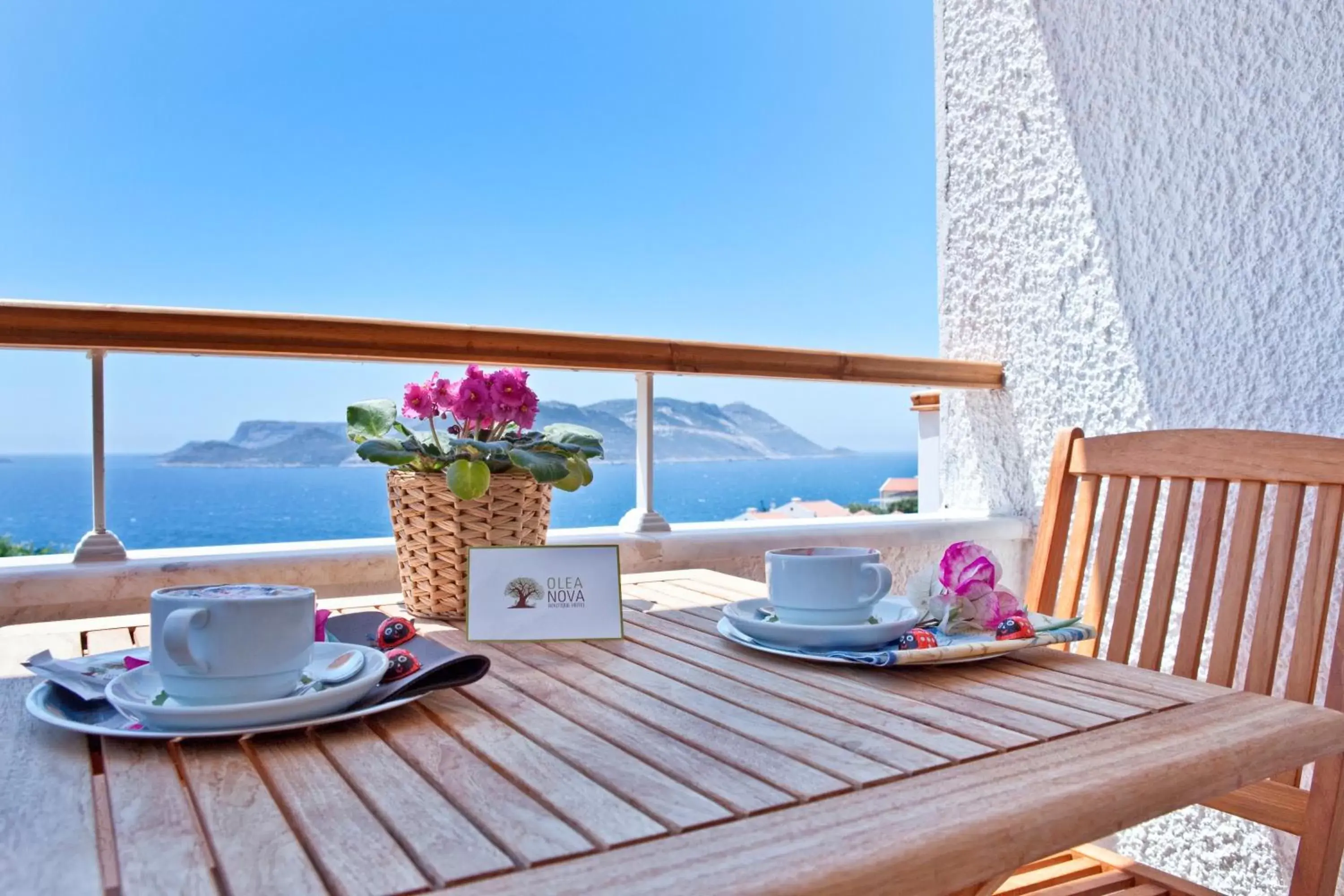 View (from property/room) in Olea Nova Hotel View (from property/room) in Olea Nova Hotel