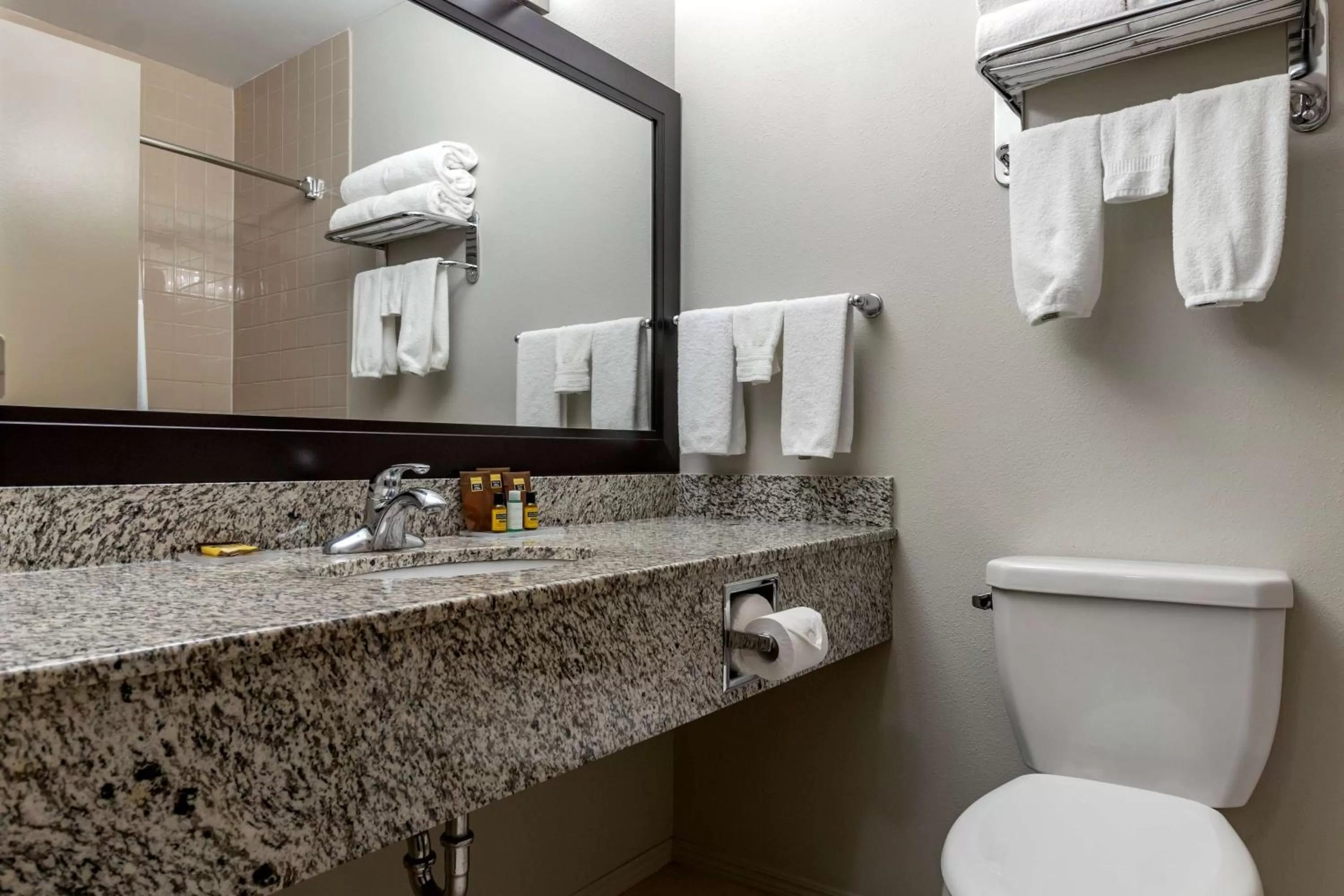 Shower in Best Western Plus Pembina Inn & Suites
