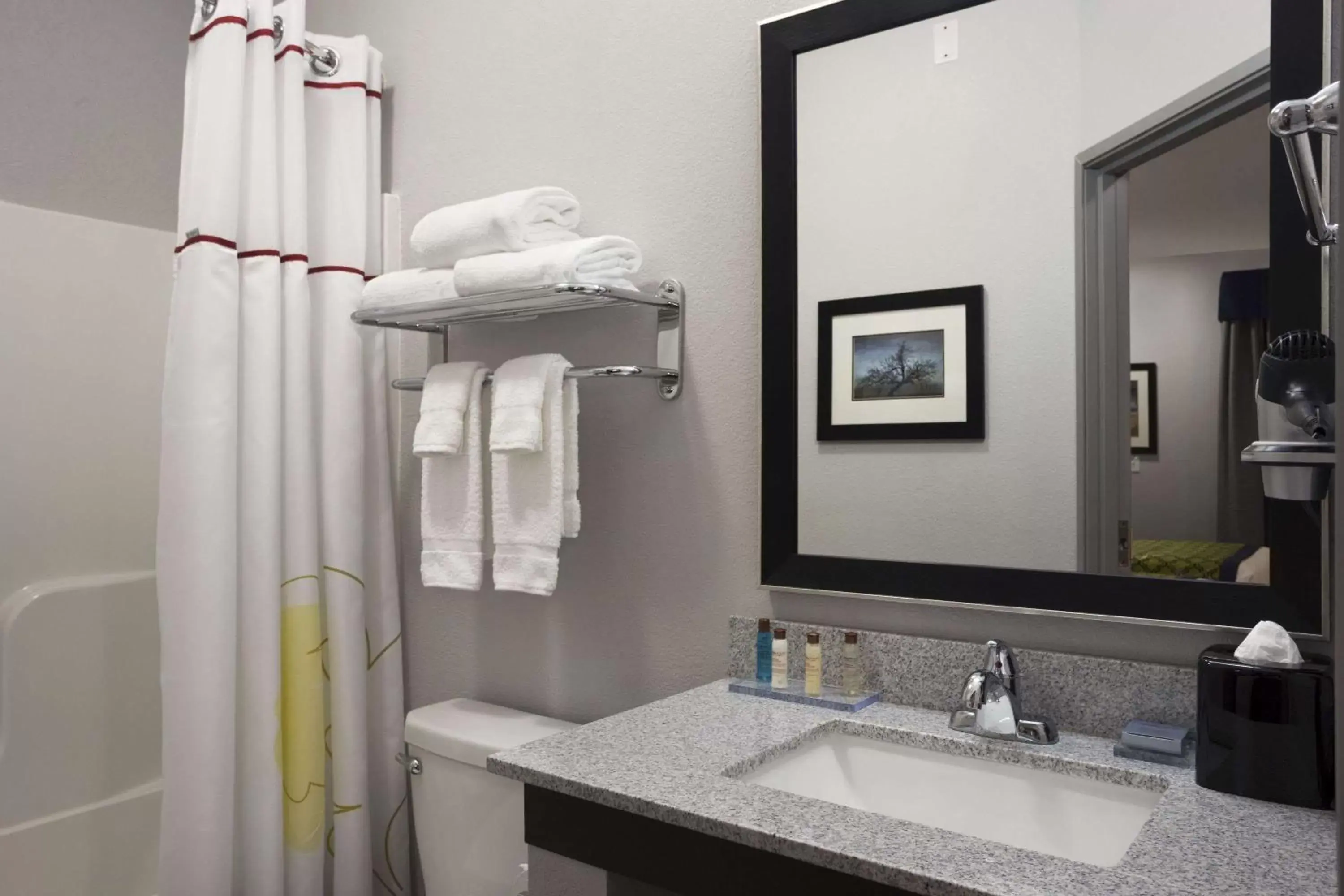 Bathroom in Hawthorn Suites by Wyndham San Angelo