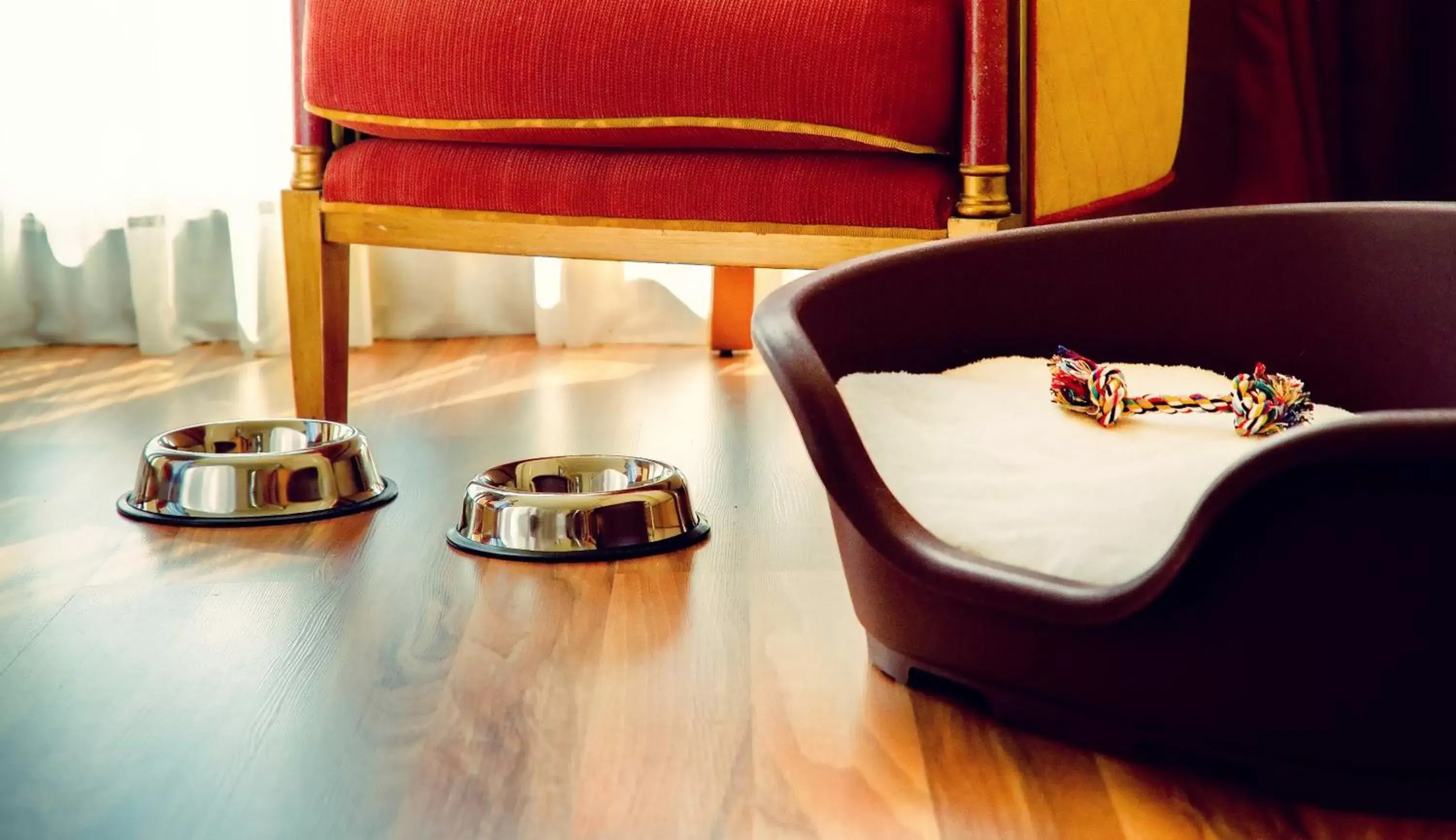 Pets, Seating Area in Oca Puerta del Camino Hotel