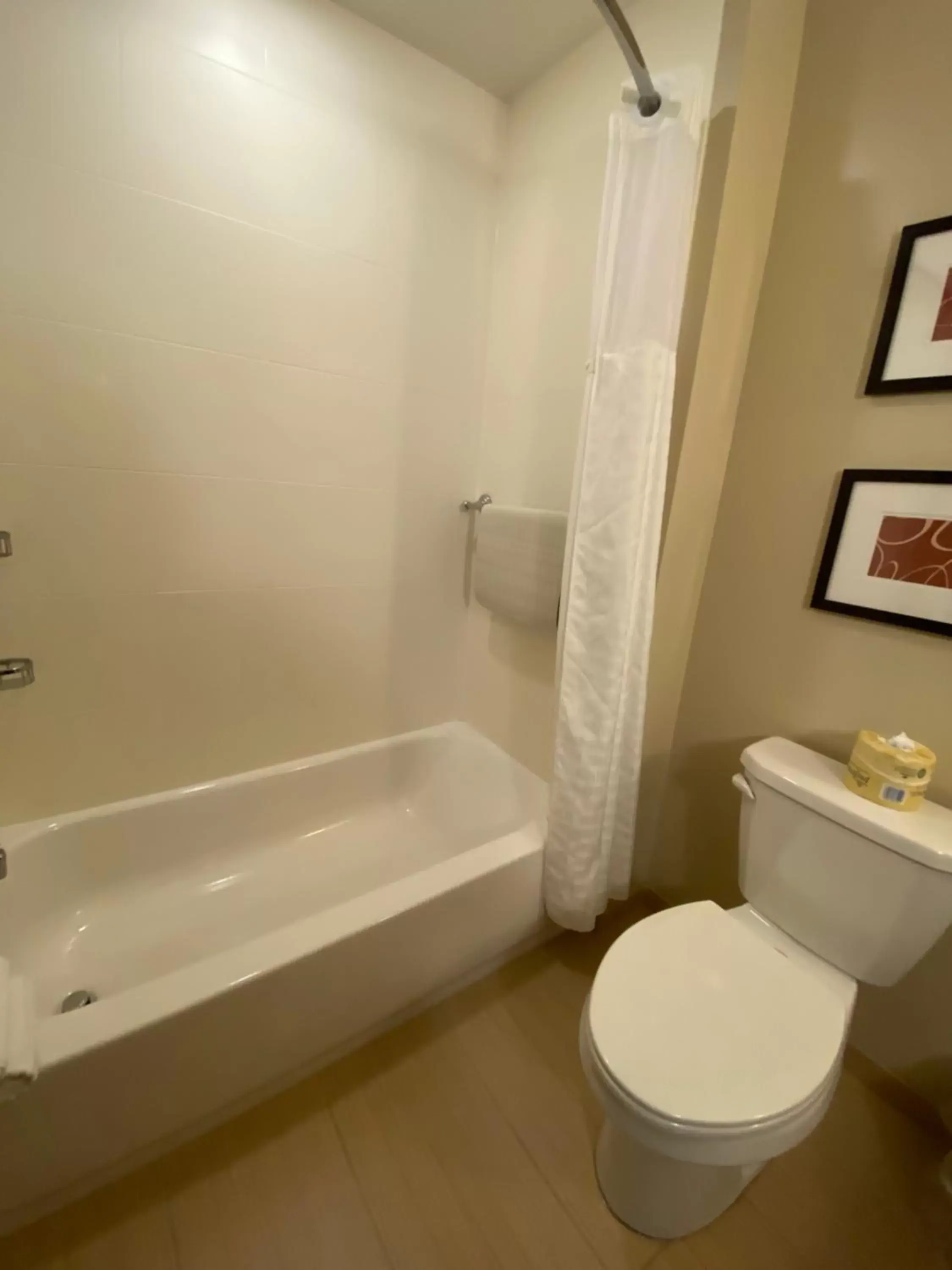 Bath, Bathroom in Comfort Suites Manheim - Lancaster