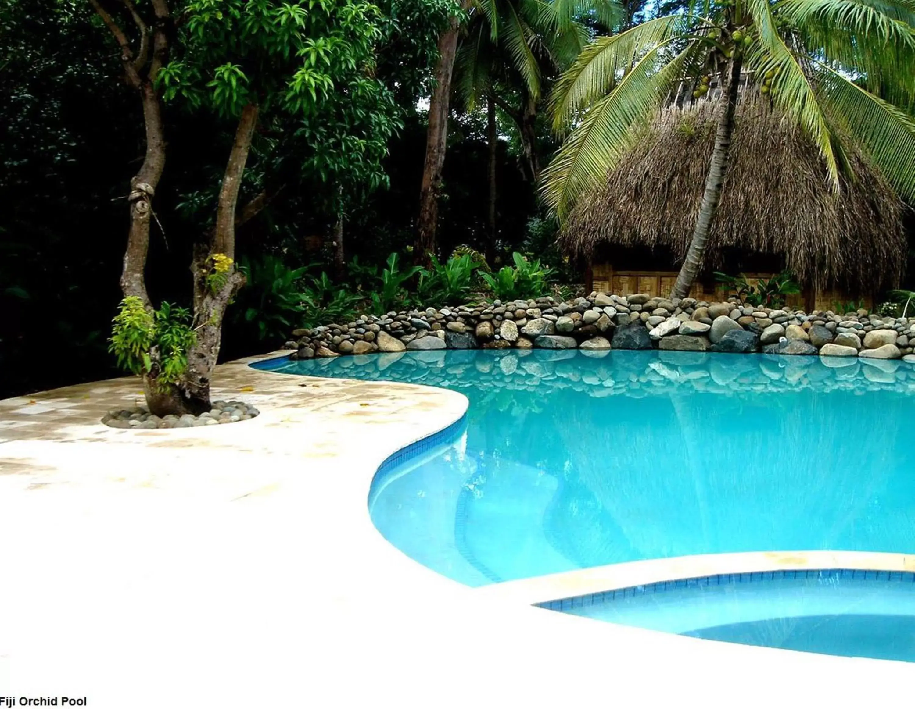 Swimming Pool in The Fiji Orchid