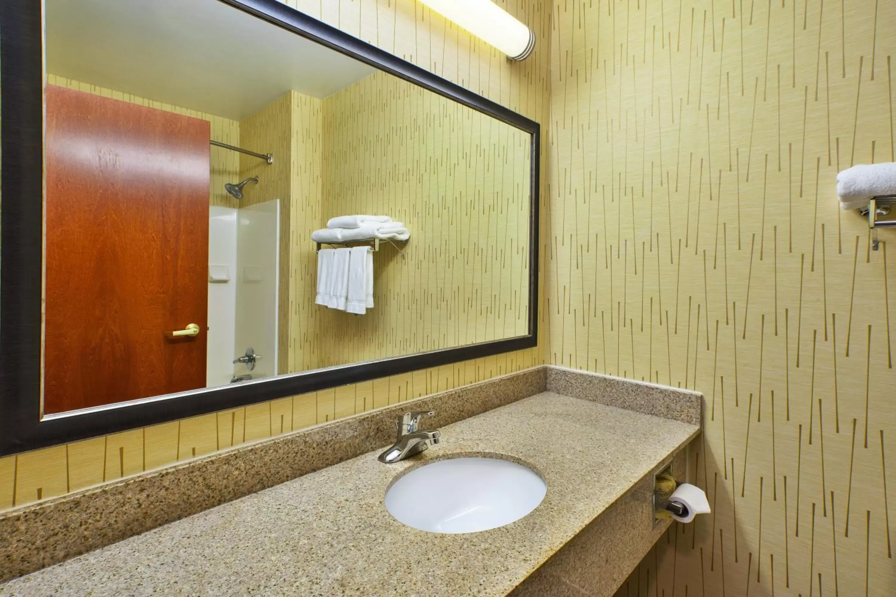 Bathroom in Holiday Inn Express Hotel & Suites - Belleville Area, an IHG Hotel