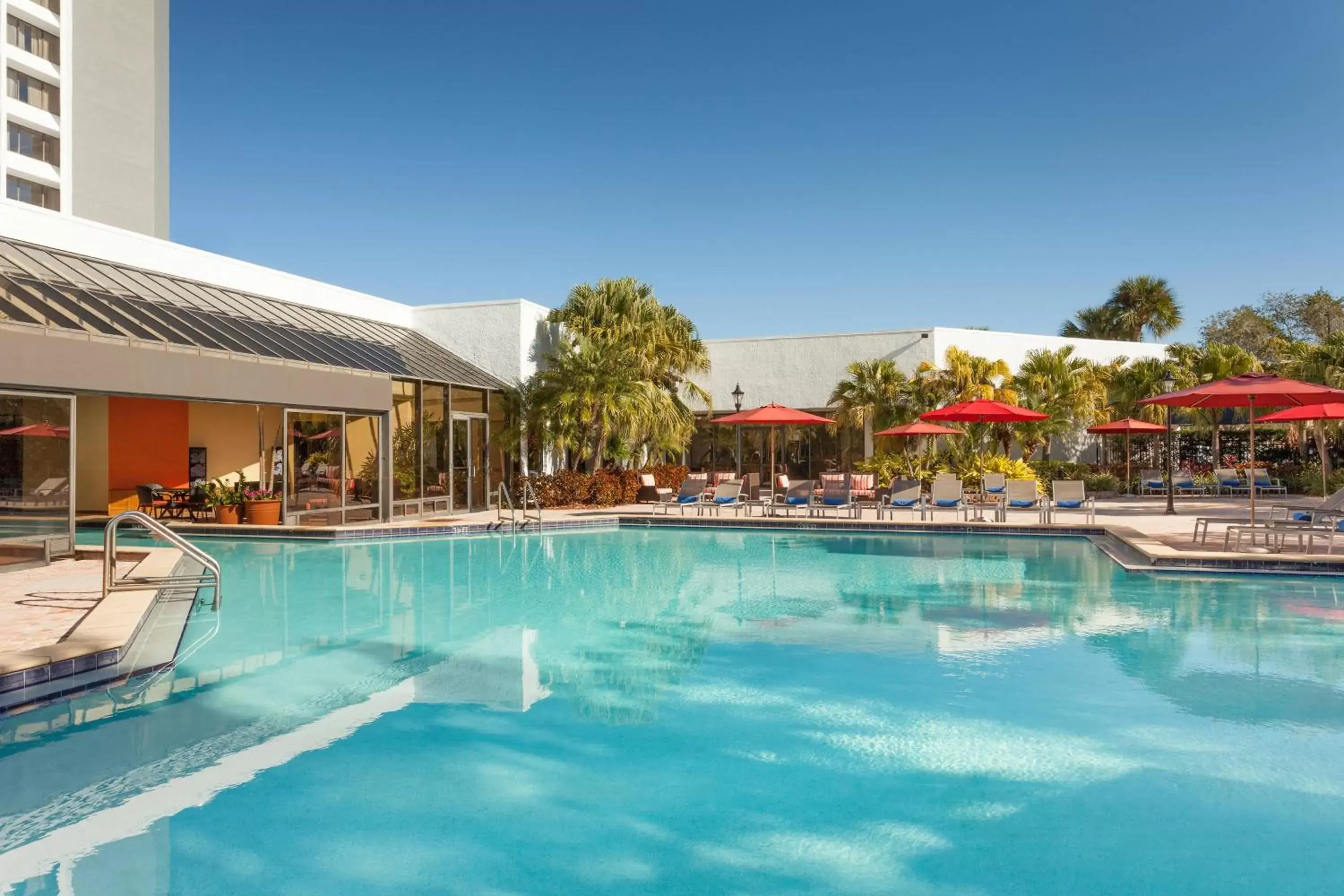 Swimming Pool in Marriott Tampa Westshore