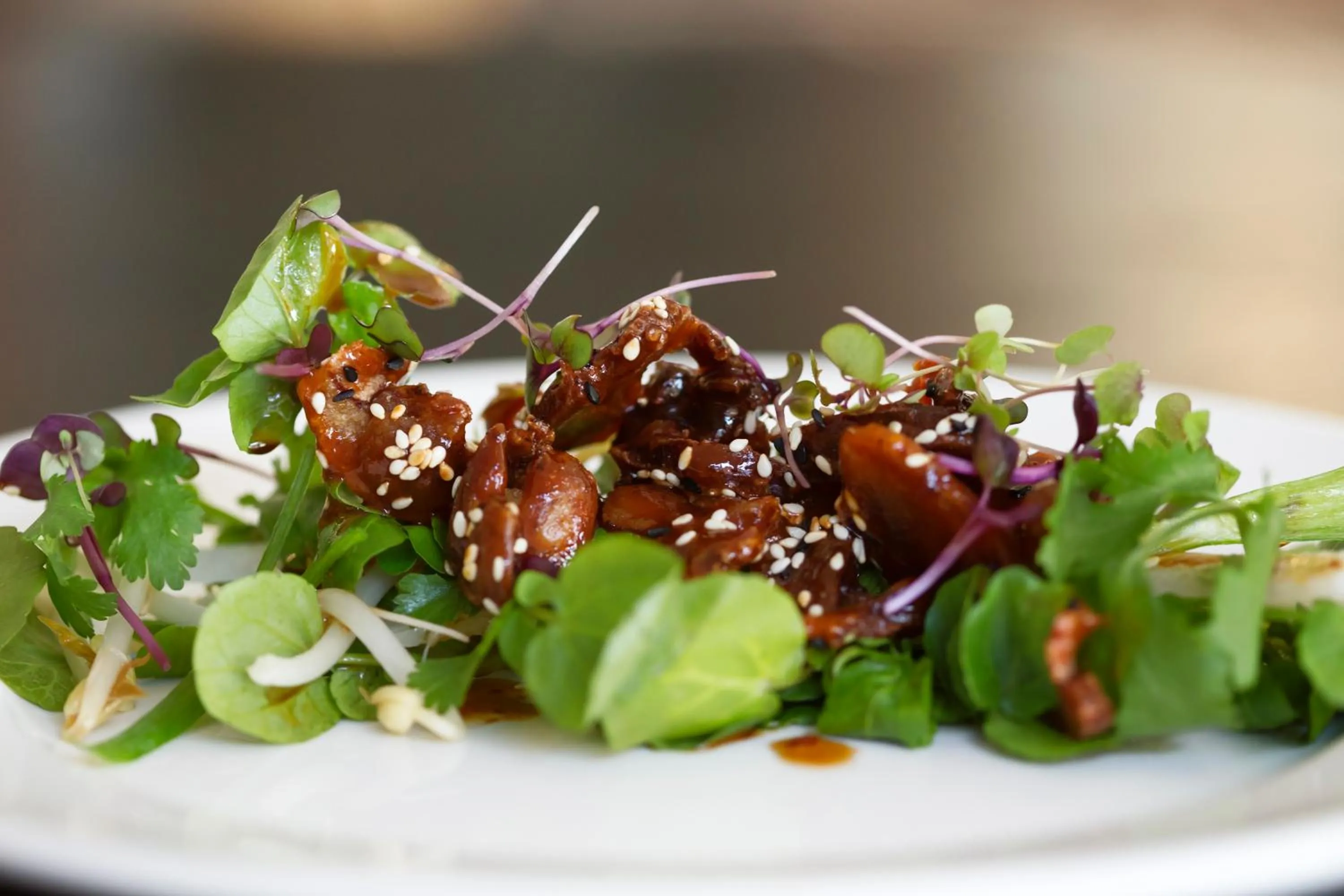 Food close-up in Maya Maya at Mandoon Estate