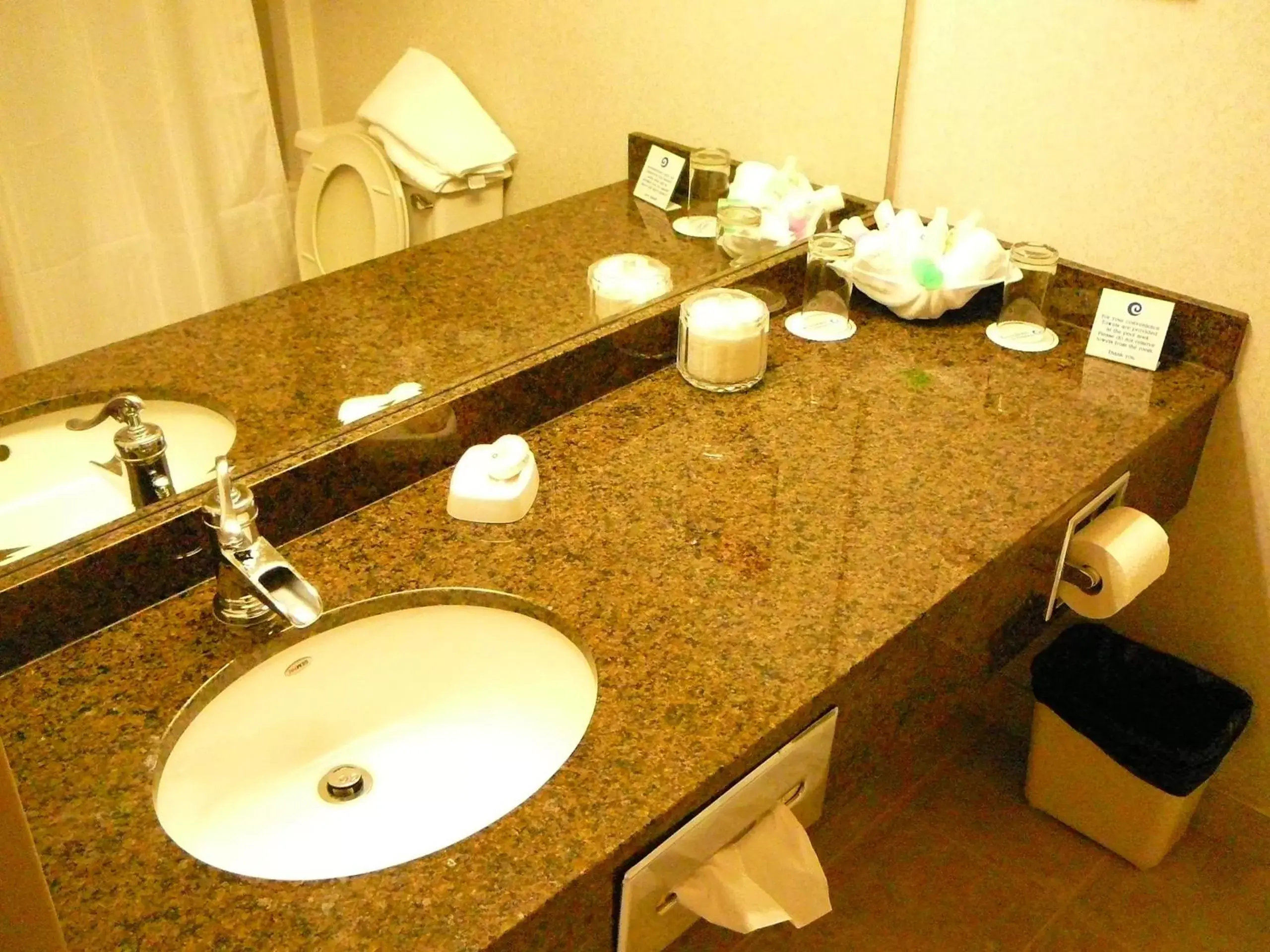 Bathroom in Coast Abbotsford Hotel & Suites