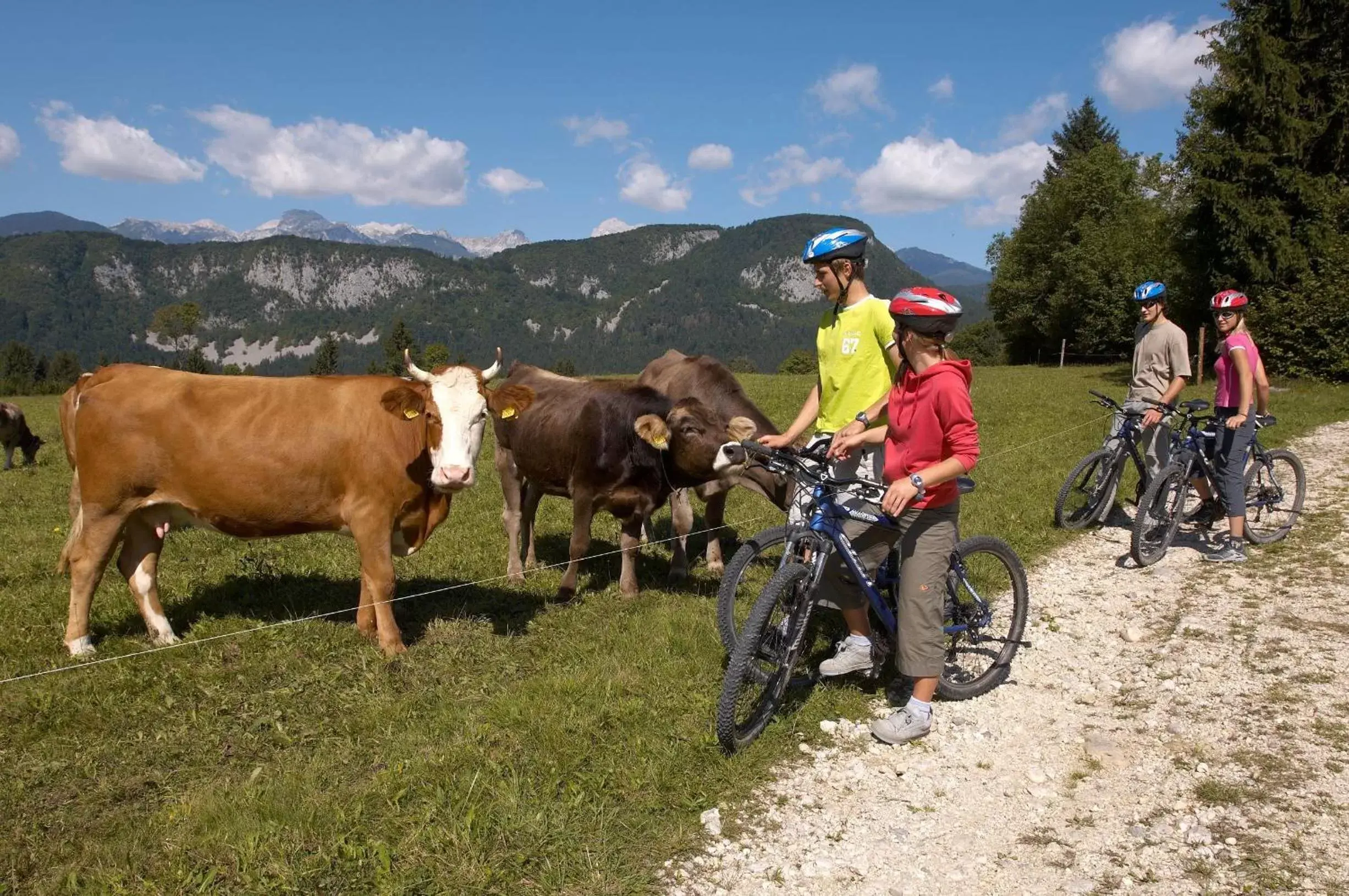 Cycling in Bohinj Eco Hotel