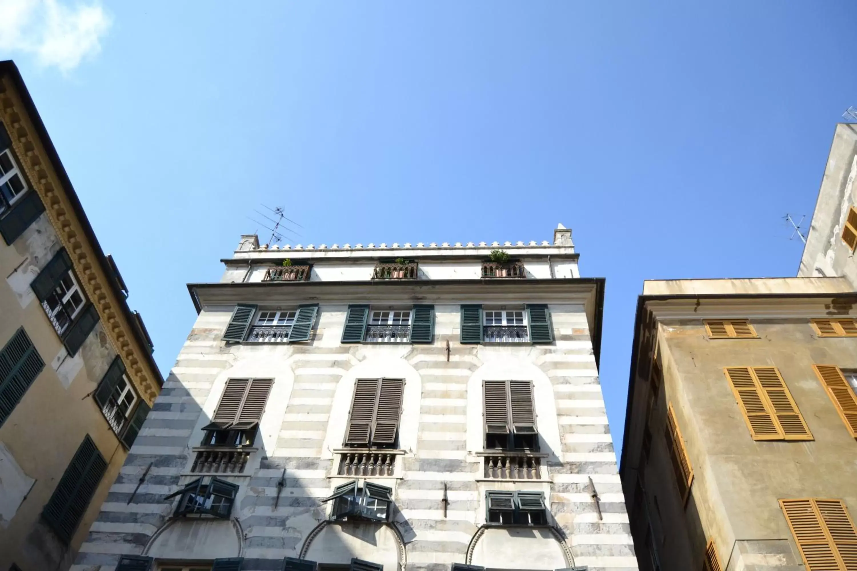 Property Building in B&B Piccoli Leoni