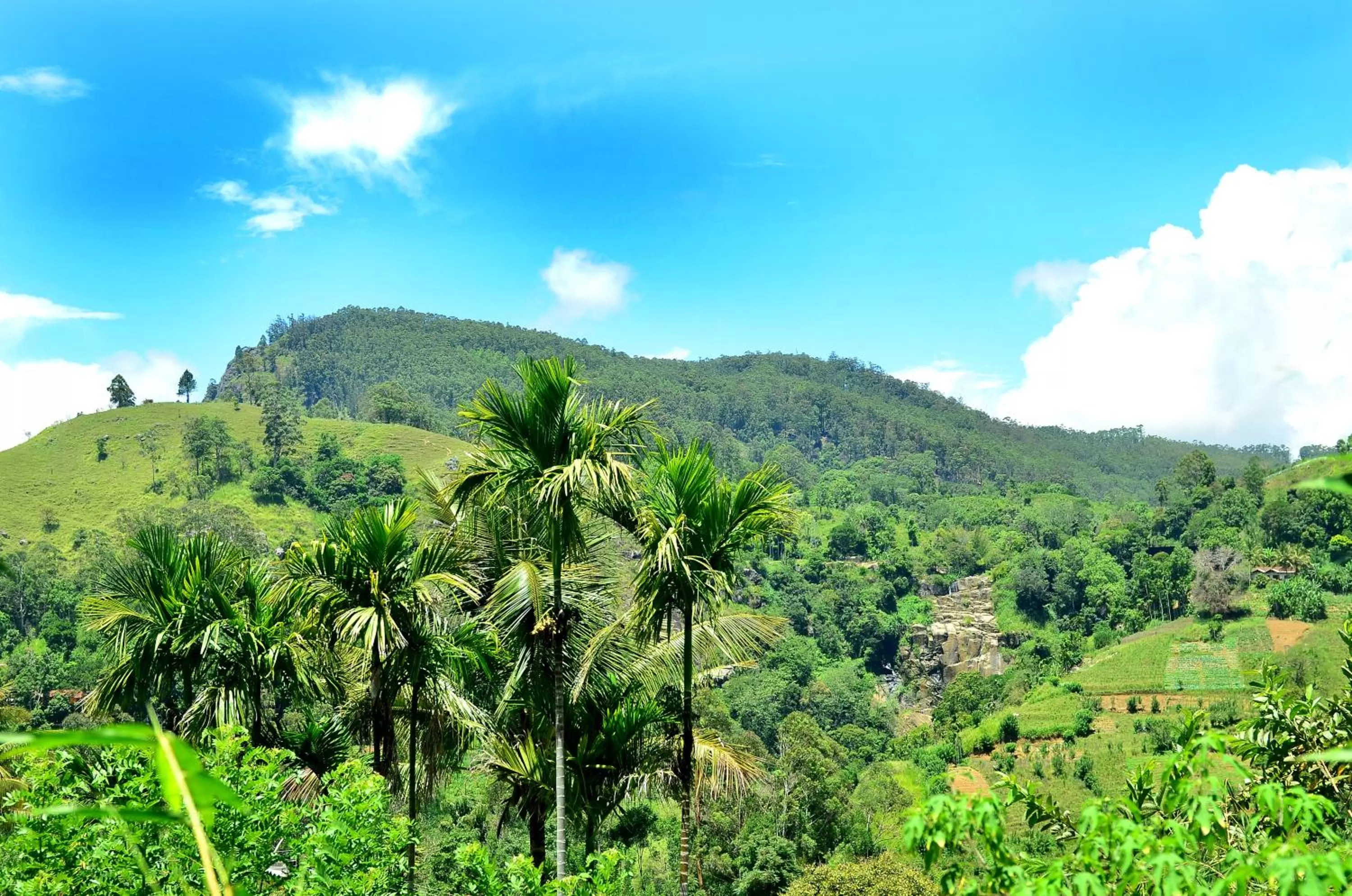 Natural landscape in Dimuthu Home Stay