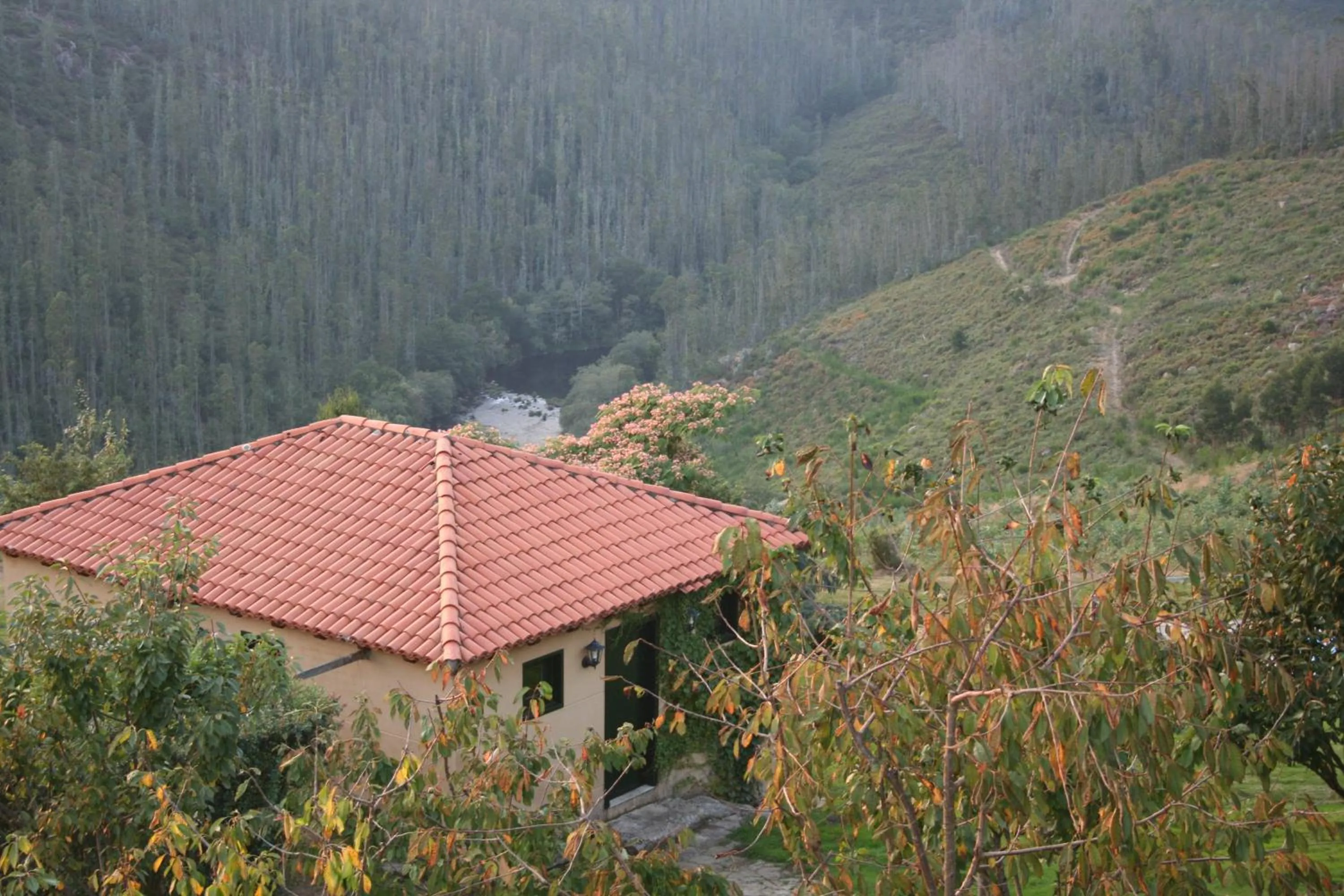 View (from property/room) in Casa Grande Do Bachao