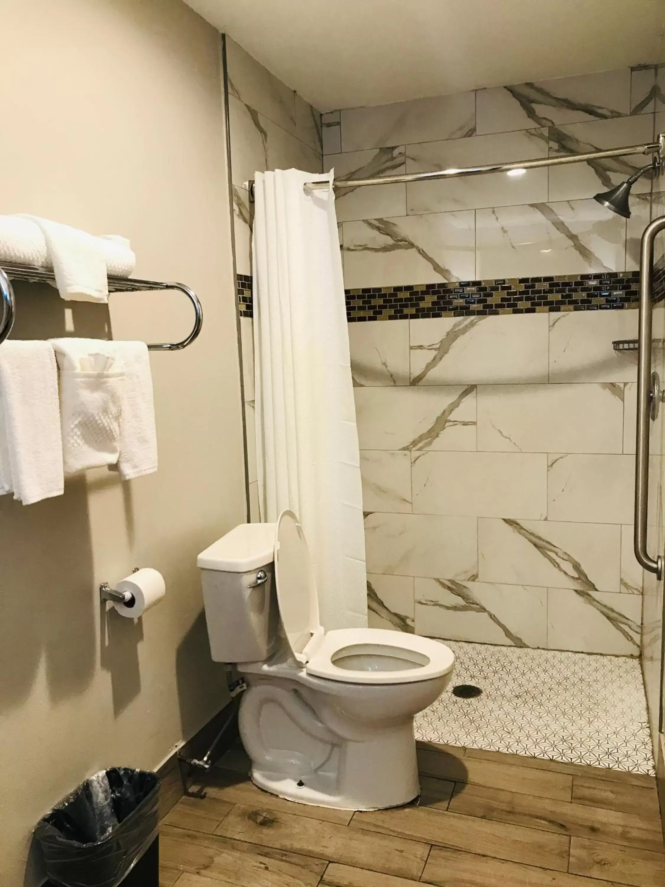 Shower, Bathroom in Summit Inn - Houston Medical Center - NRG Park