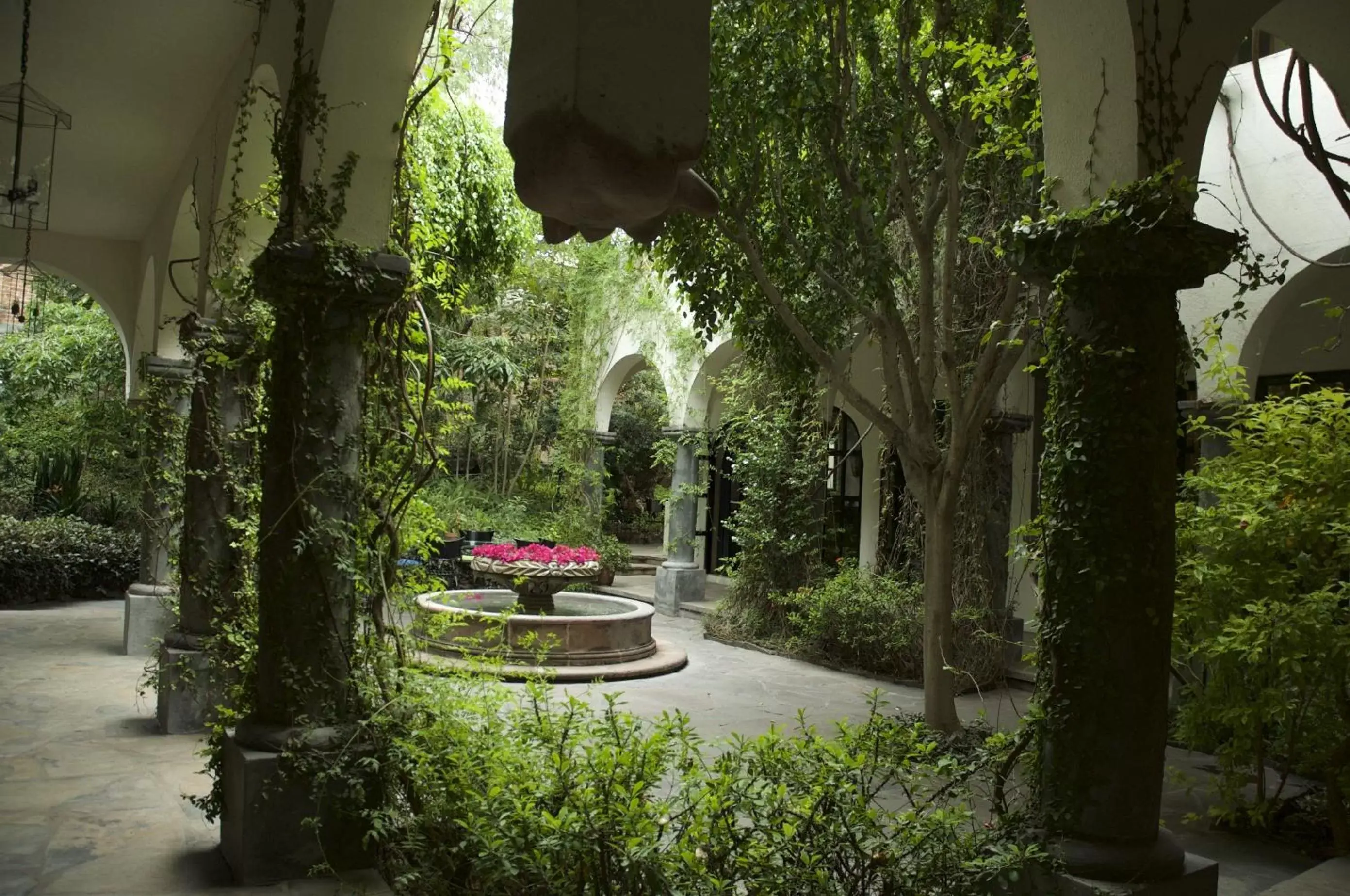 Garden in Casa Mision de San Miguel