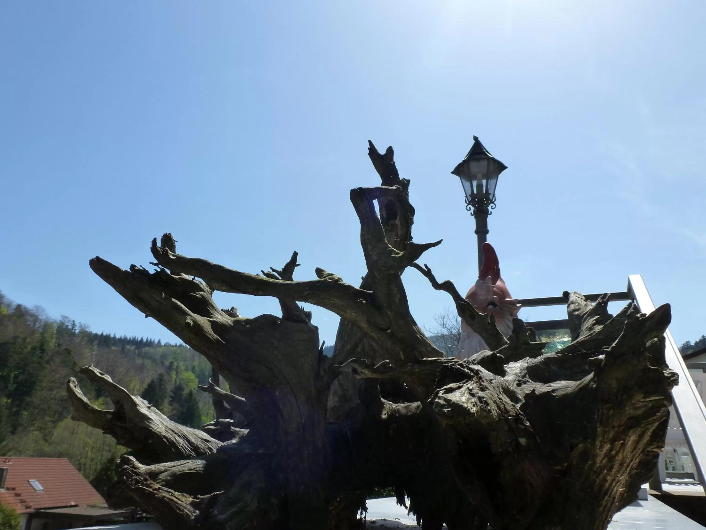 Other in Waldschlösschen