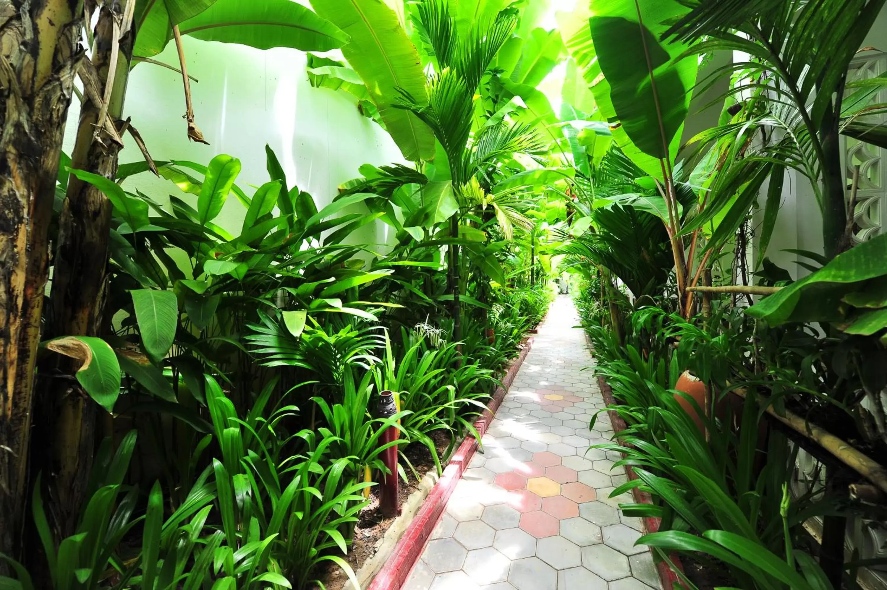 Garden in La Niche D'angkor Boutique Hotel