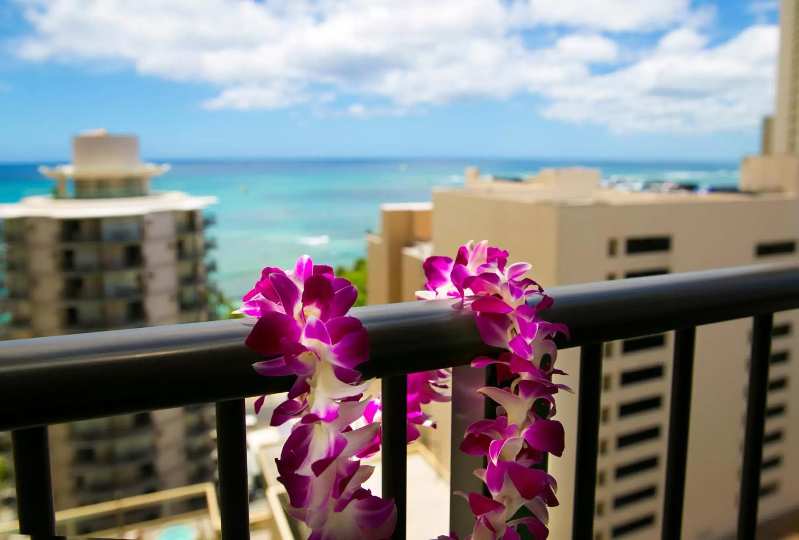 Sea view, Balcony/Terrace in Waikiki Resort Hotel