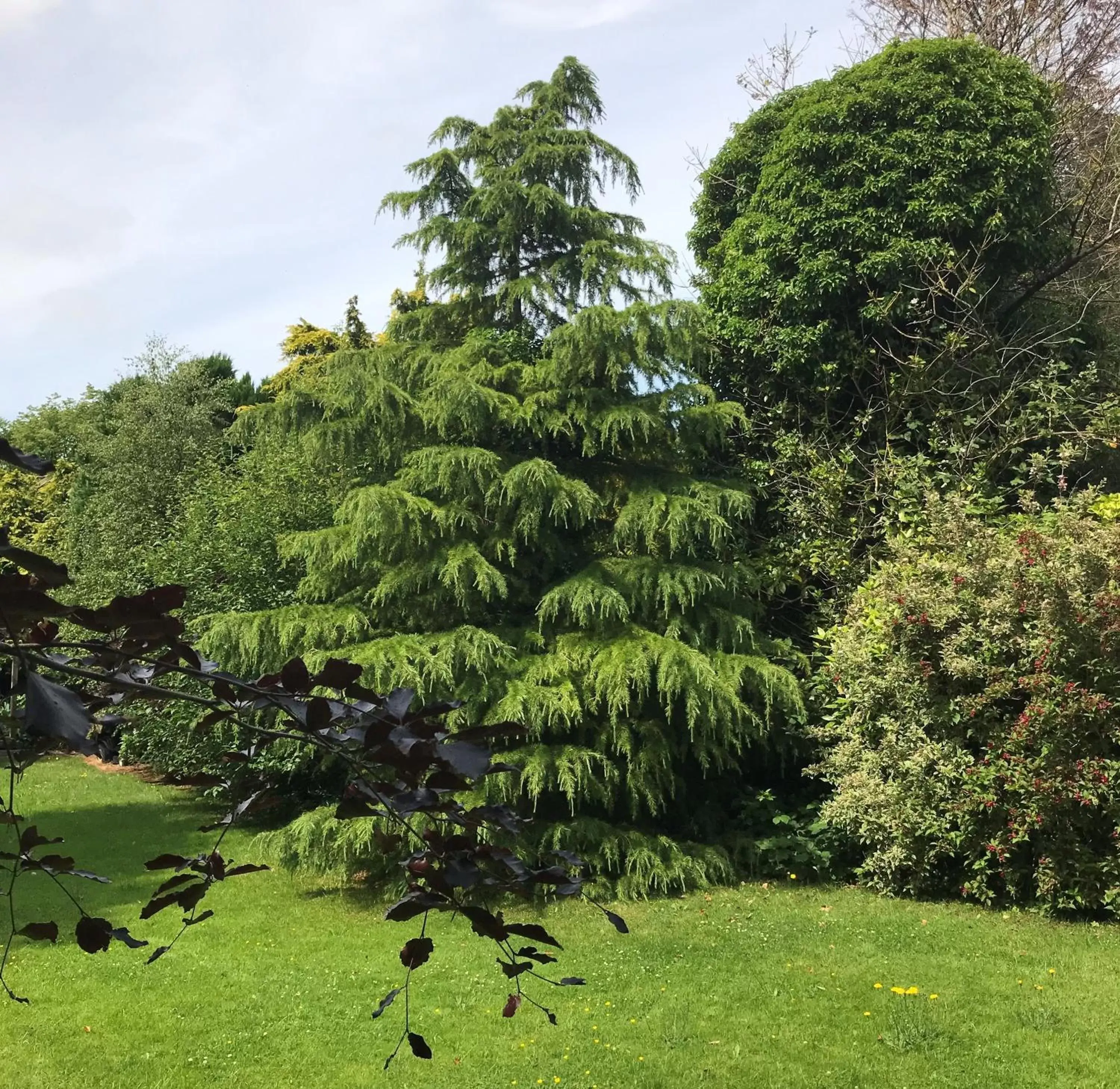 Garden in Ashtree House Hotel, Glasgow Airport & Paisley