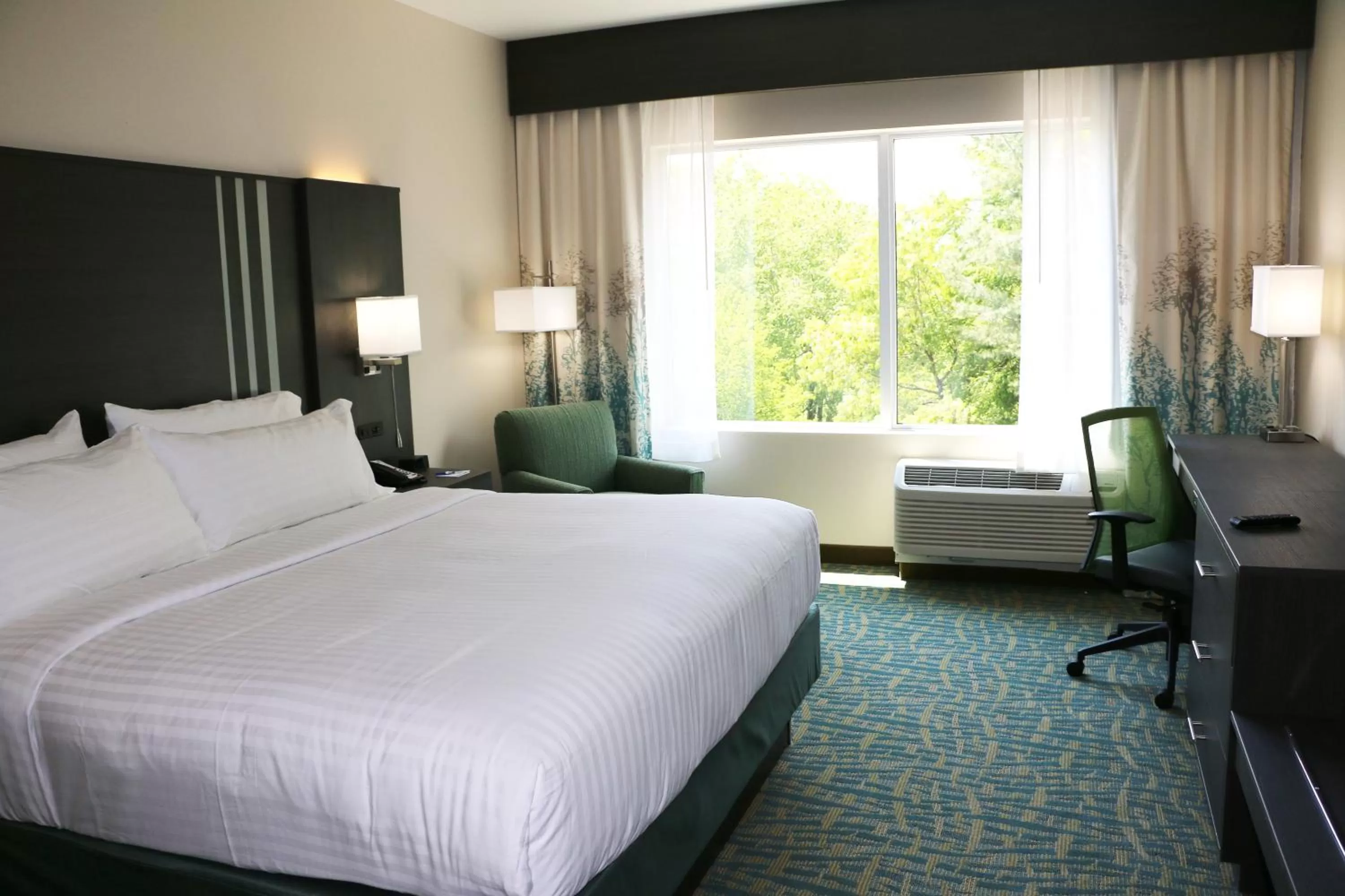 Photo of the whole room, Bed in Holiday Inn Express & Suites - Hendersonville SE - Flat Rock by IHG