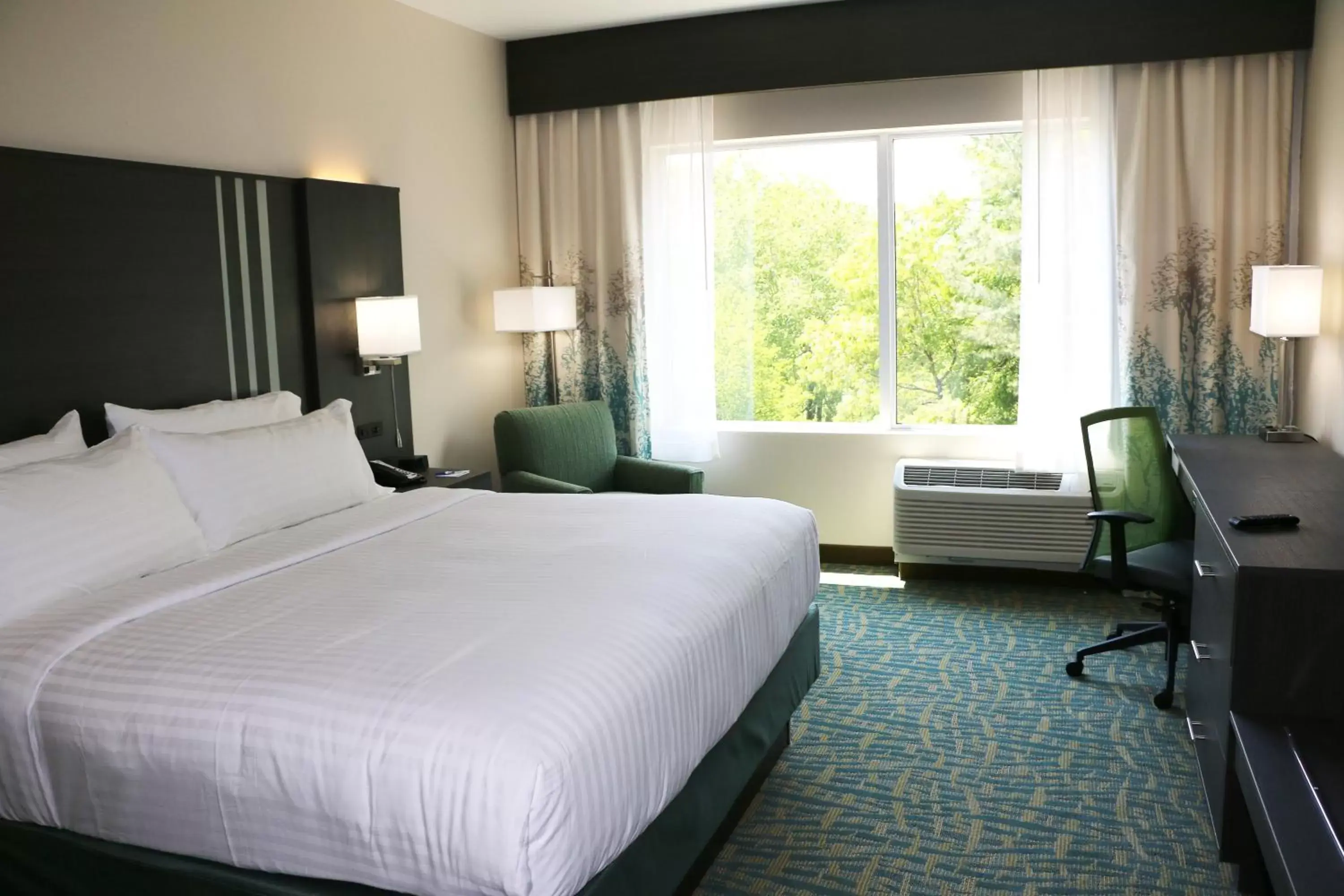 Photo of the whole room, Bed in Holiday Inn Express & Suites - Hendersonville SE - Flat Rock, an IHG Hotel
