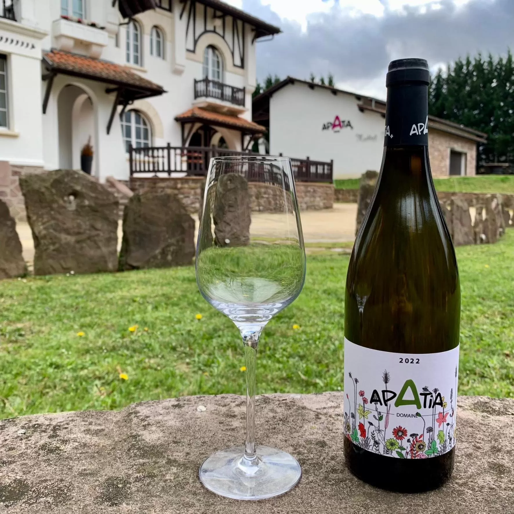 Drinks in Villa Harriet