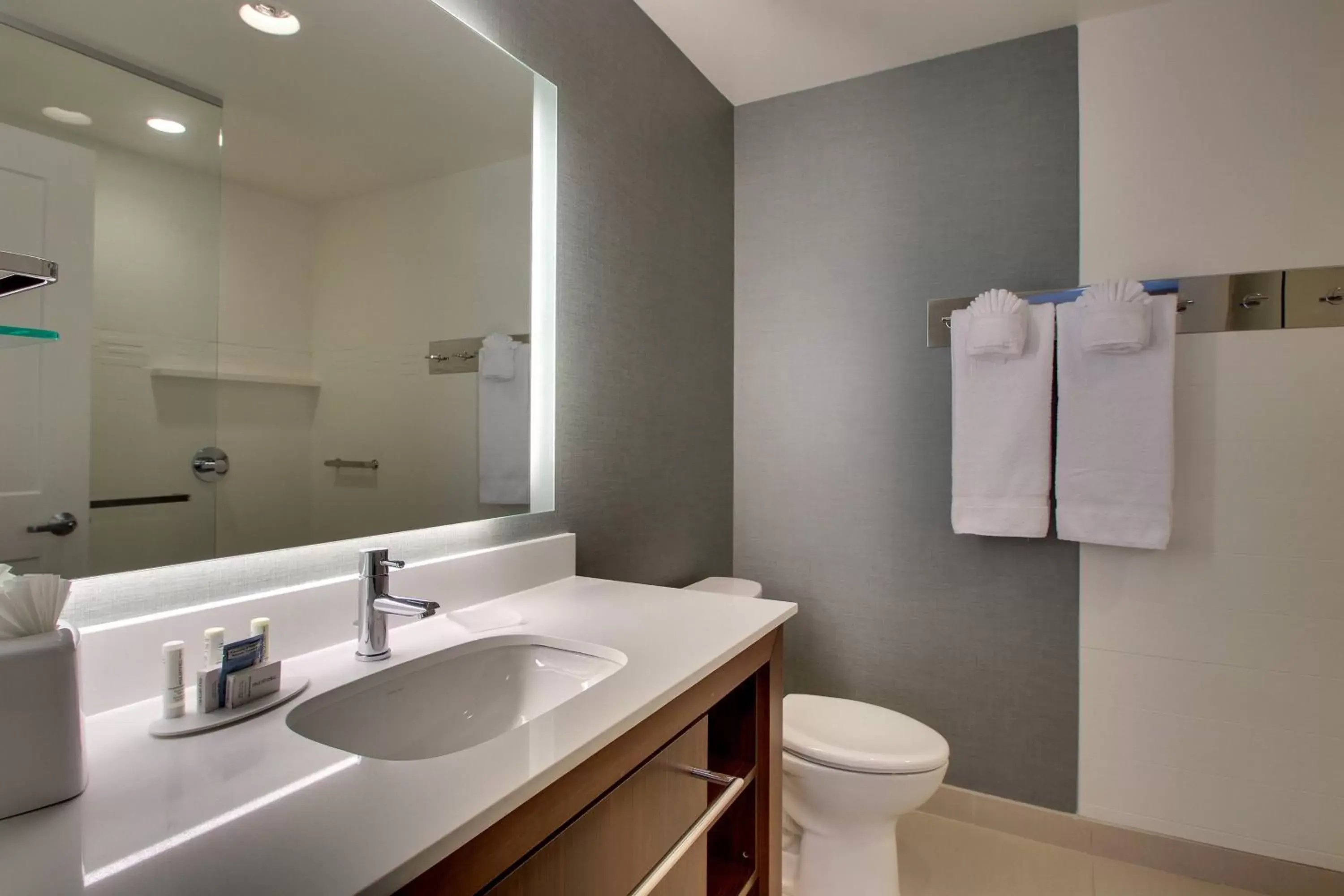 Bathroom in Residence Inn by Marriott Philadelphia Valley Forge/Collegeville