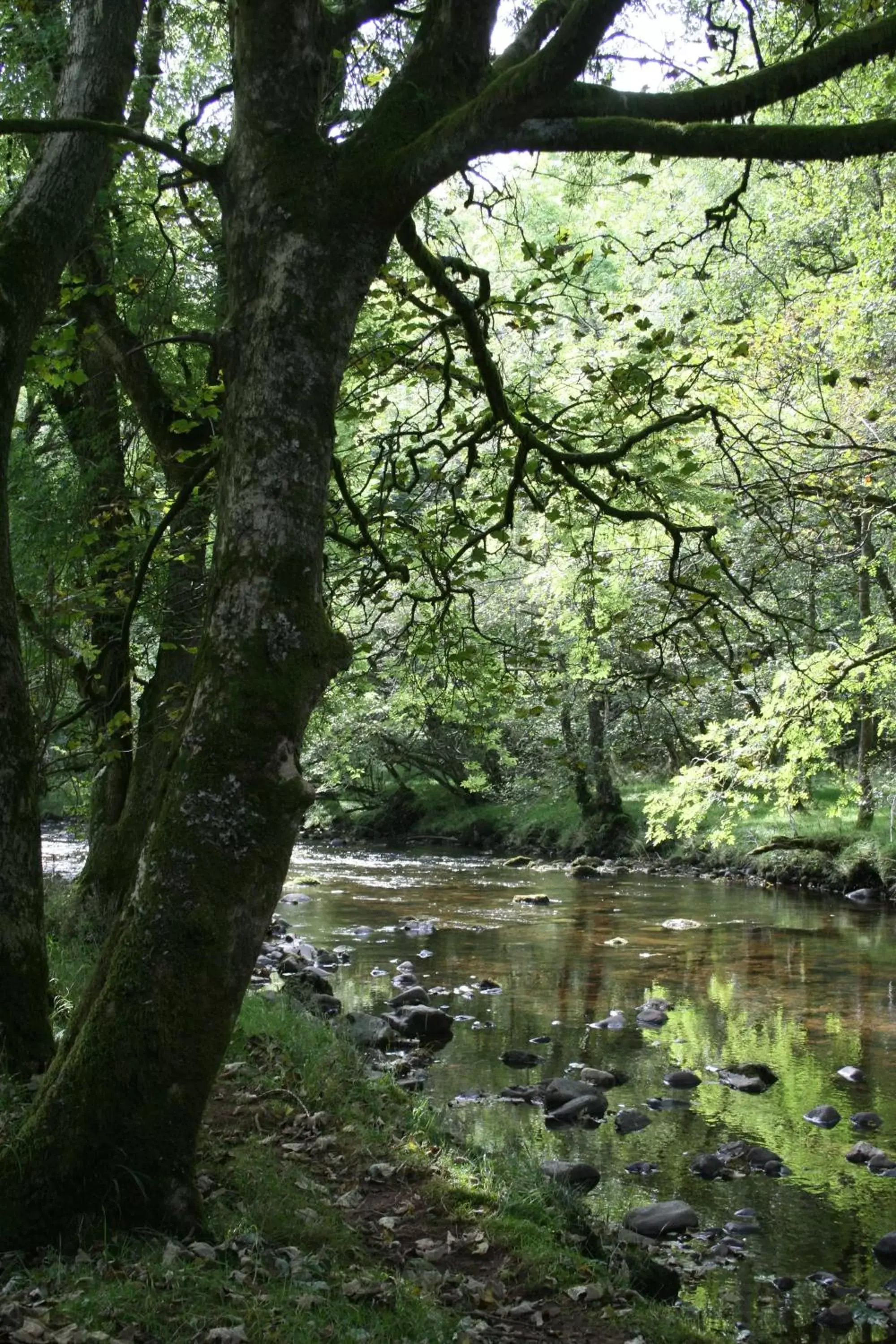 Nearby landmark, Natural Landscape in Nant Ddu Lodge Hotel & Spa