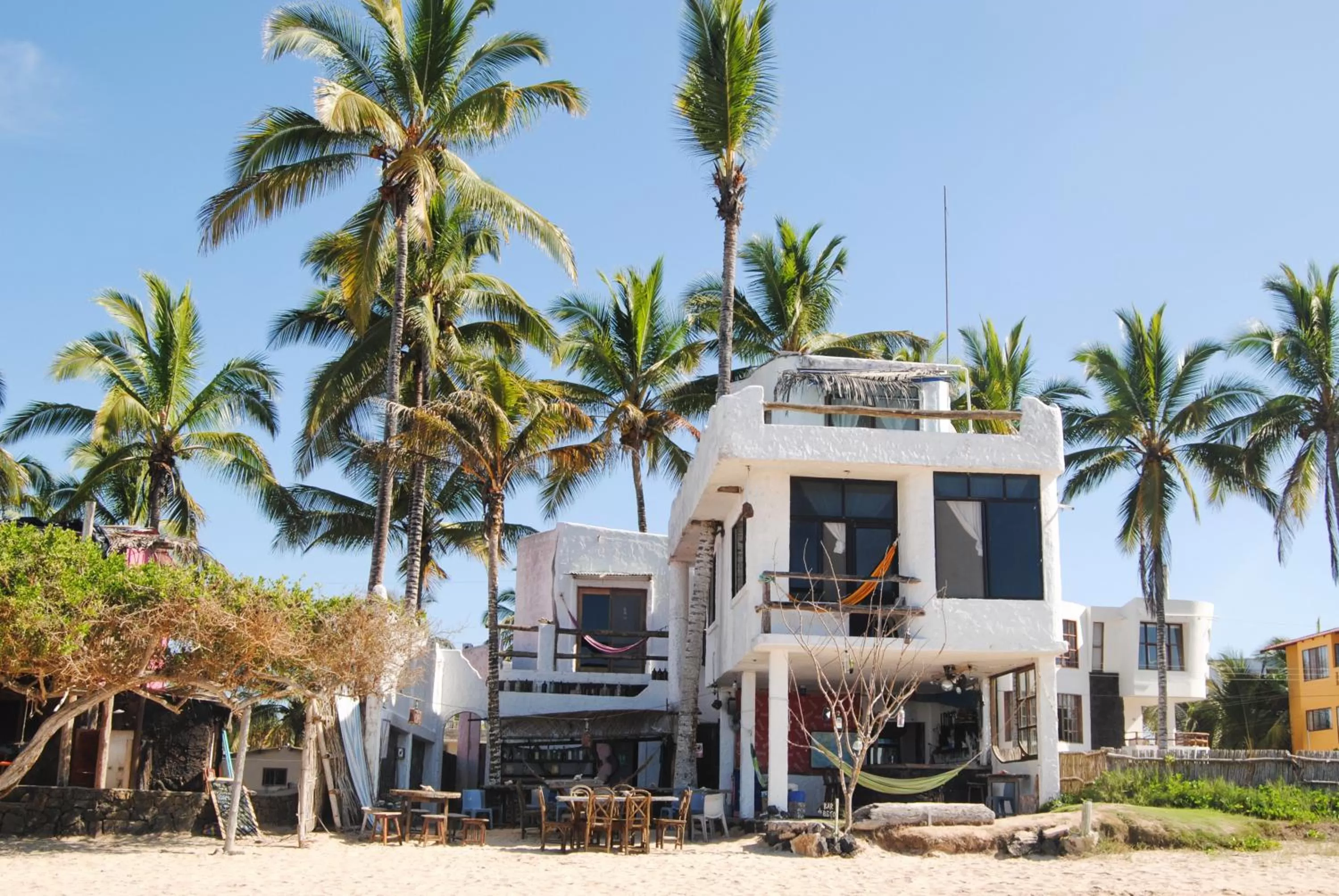 Nightclub / DJ in Hostal Galapagos by Bar de Beto